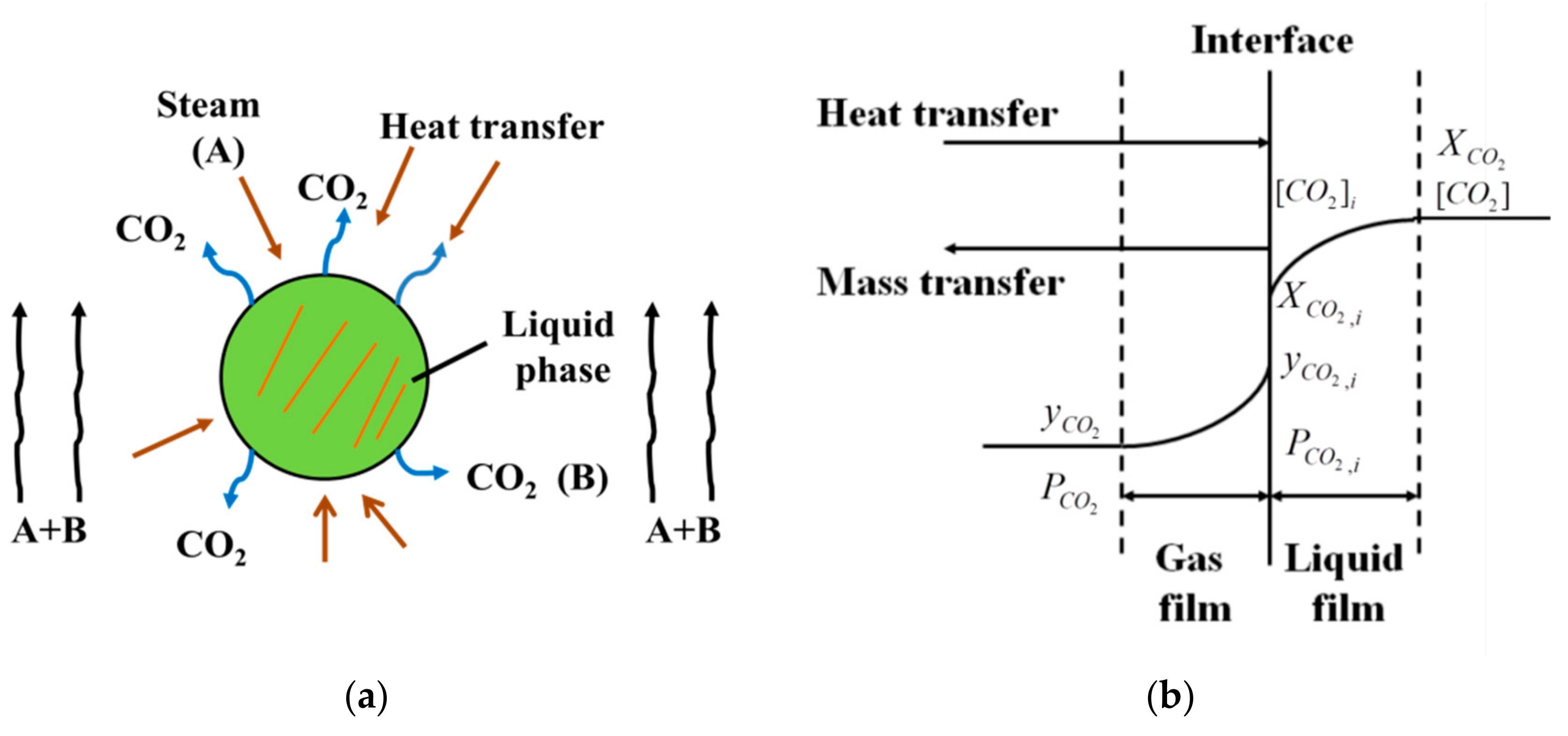 Processes 09 00046 g001
