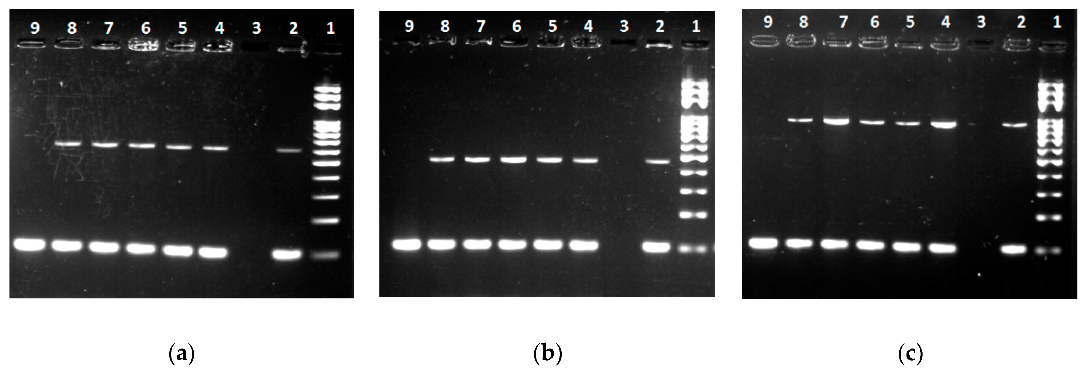Processes 09 00053 g006
