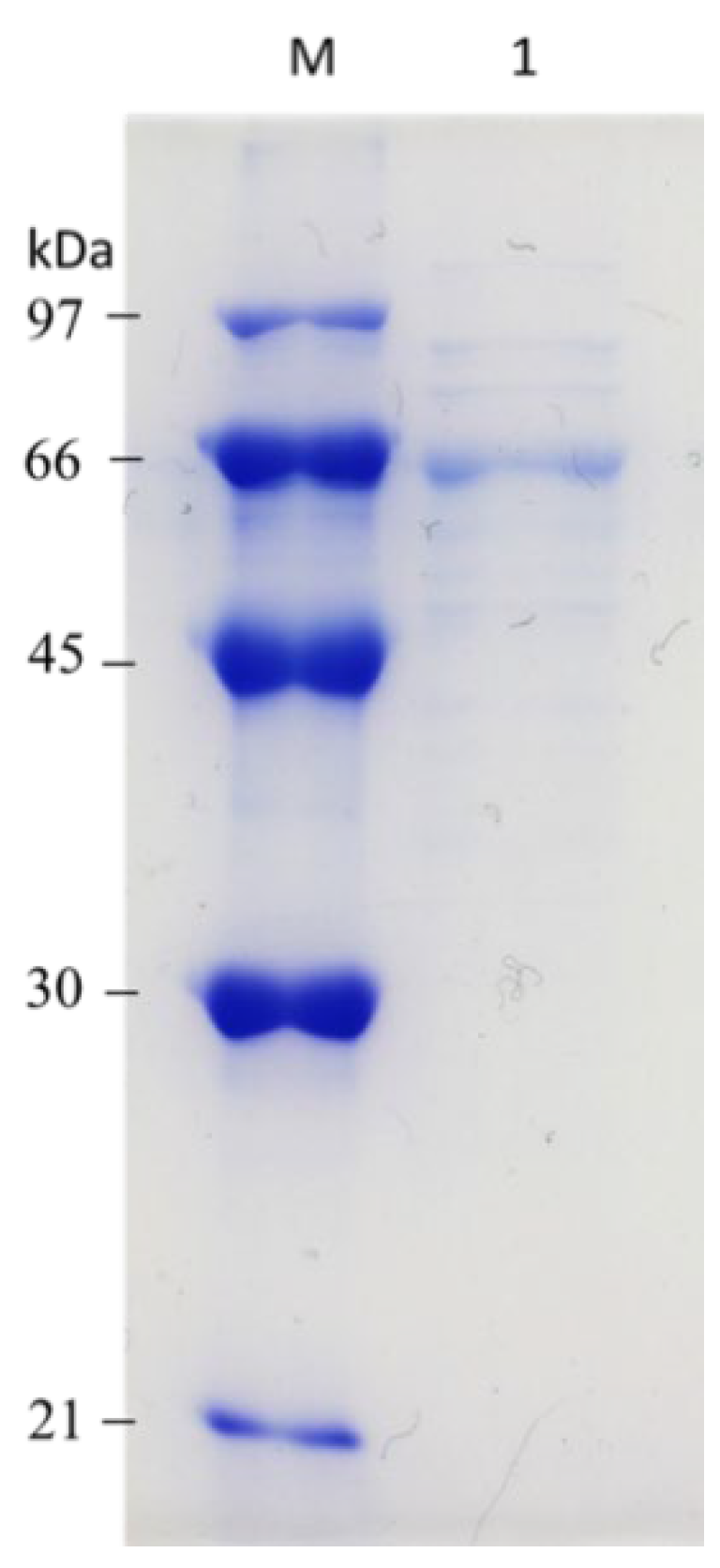 Processes 09 00056 g003