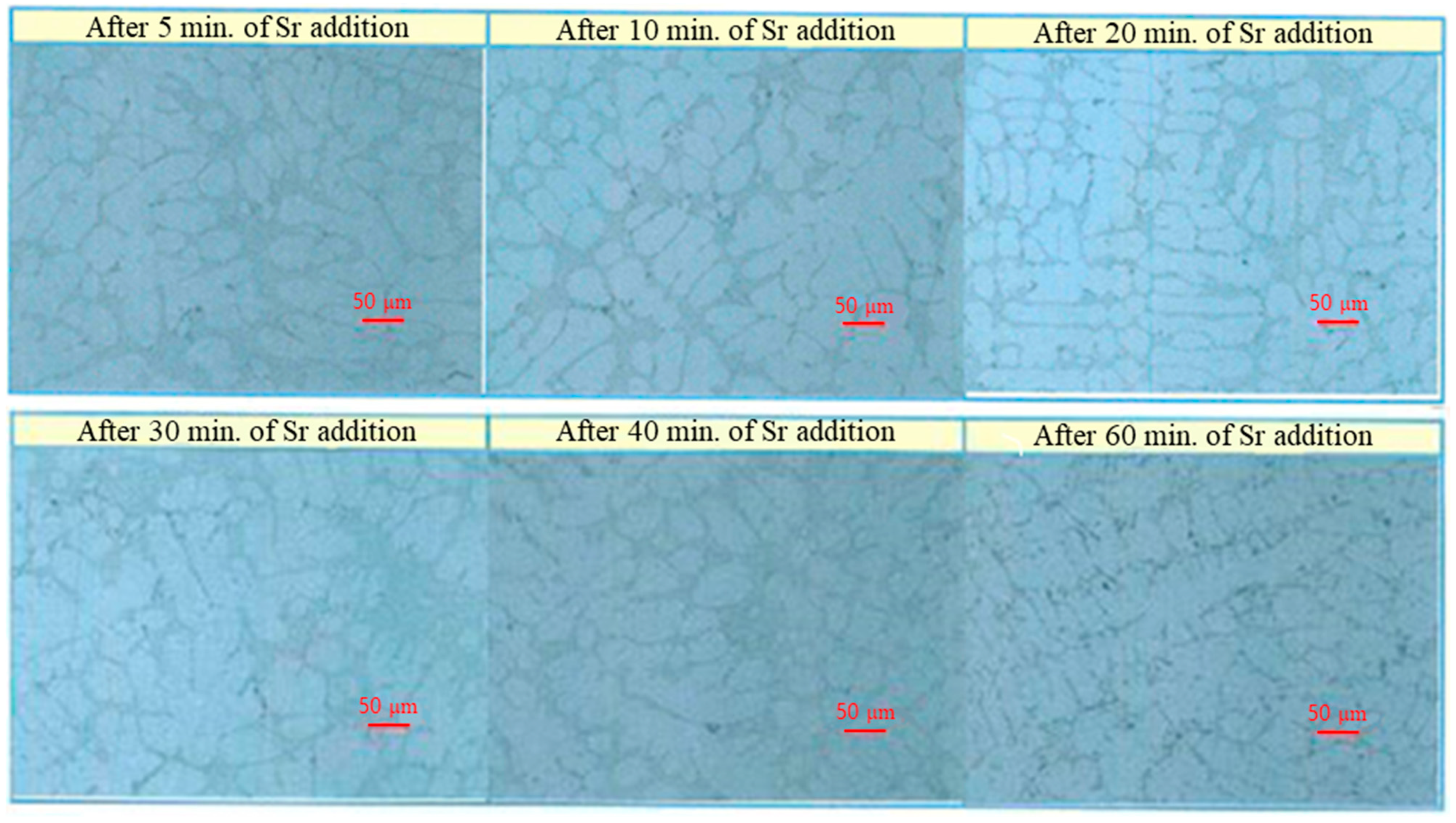 Processes 09 00070 g007