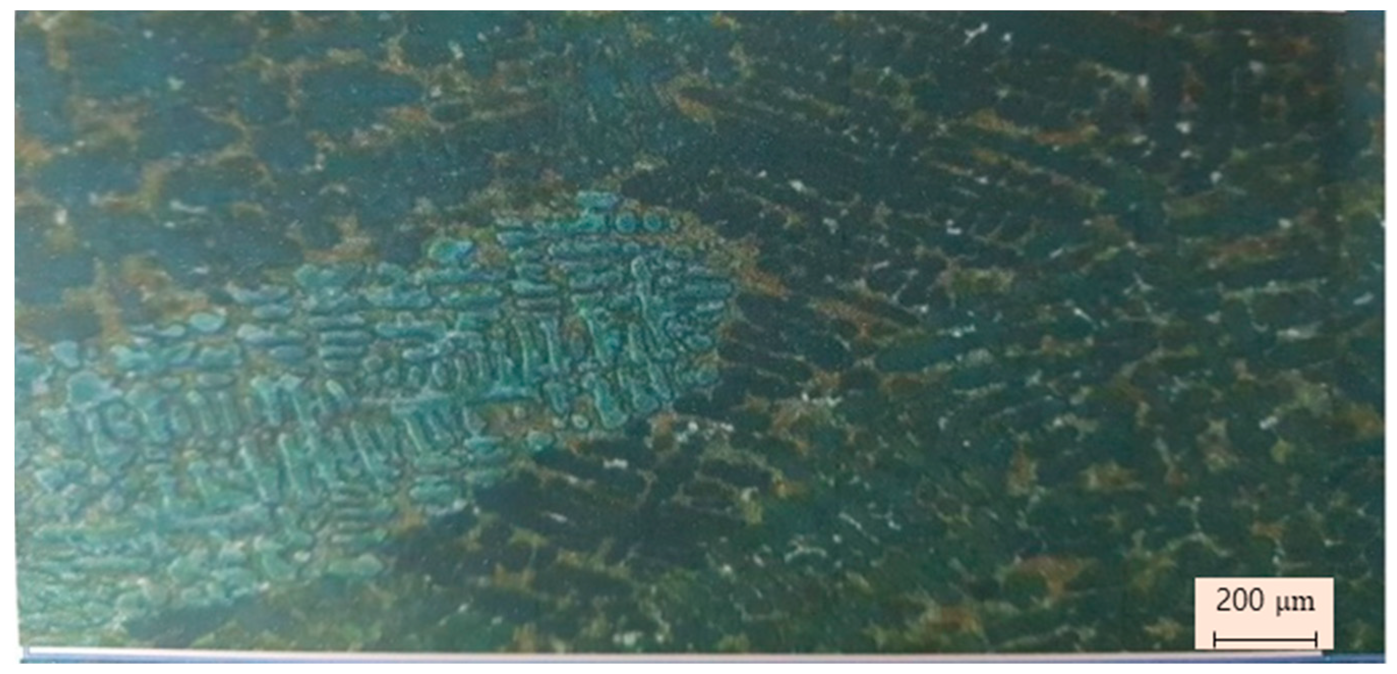 Processes 09 00070 g008