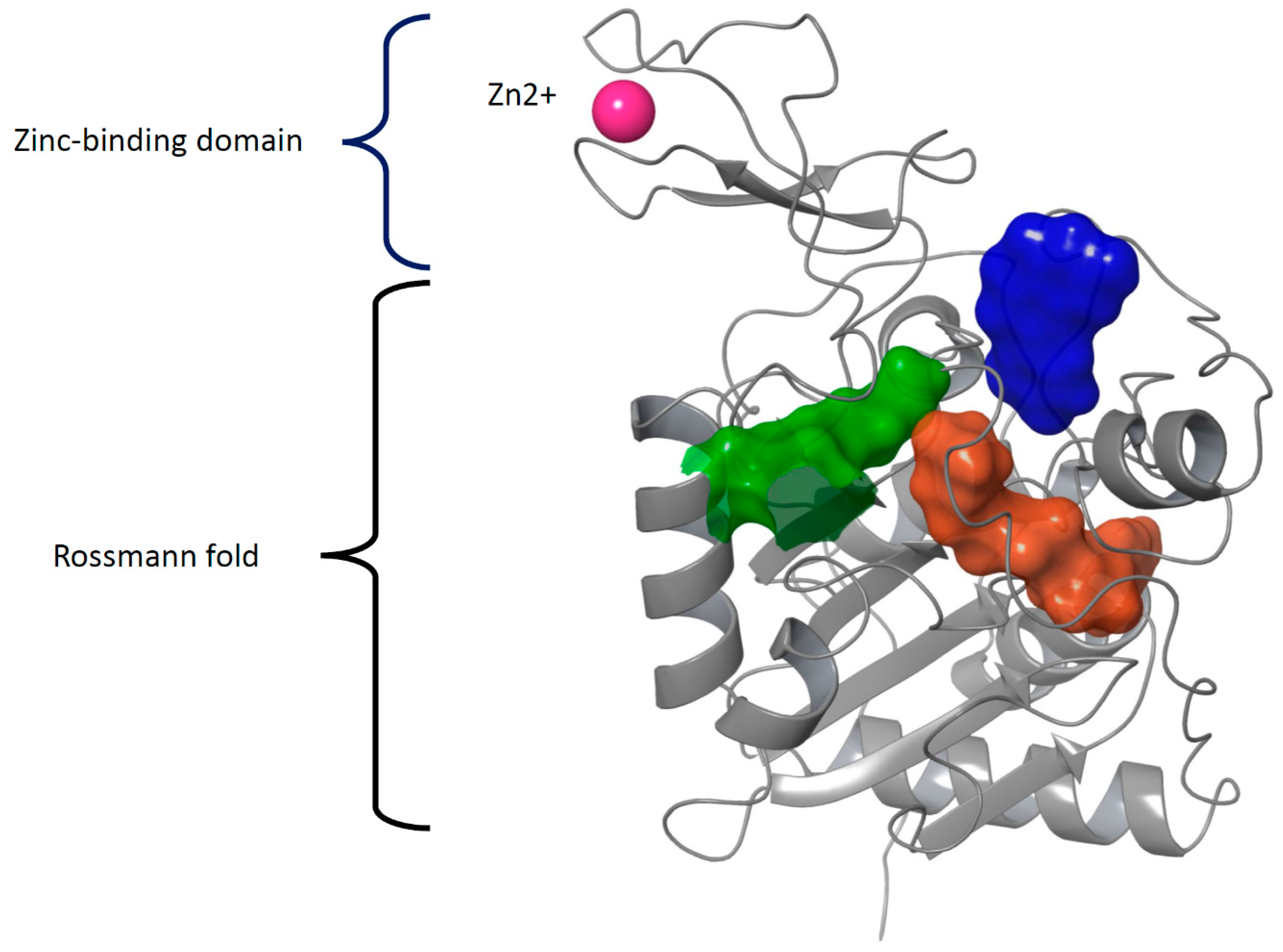 Processes 09 00071 g003