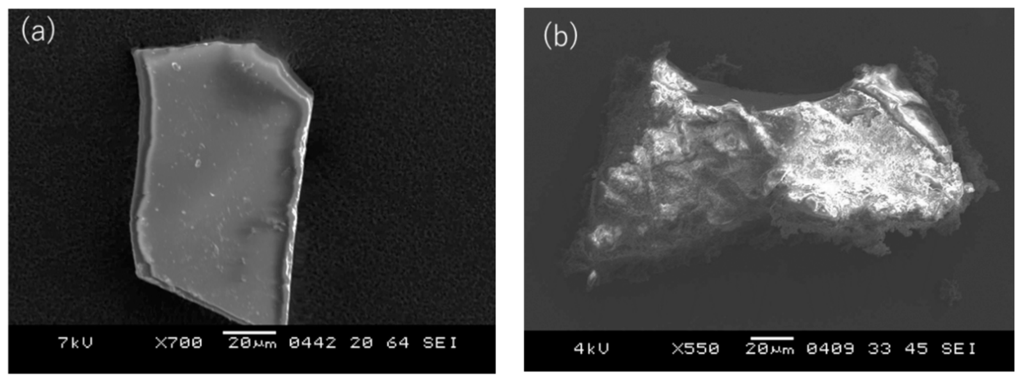 Processes 09 00073 g003a