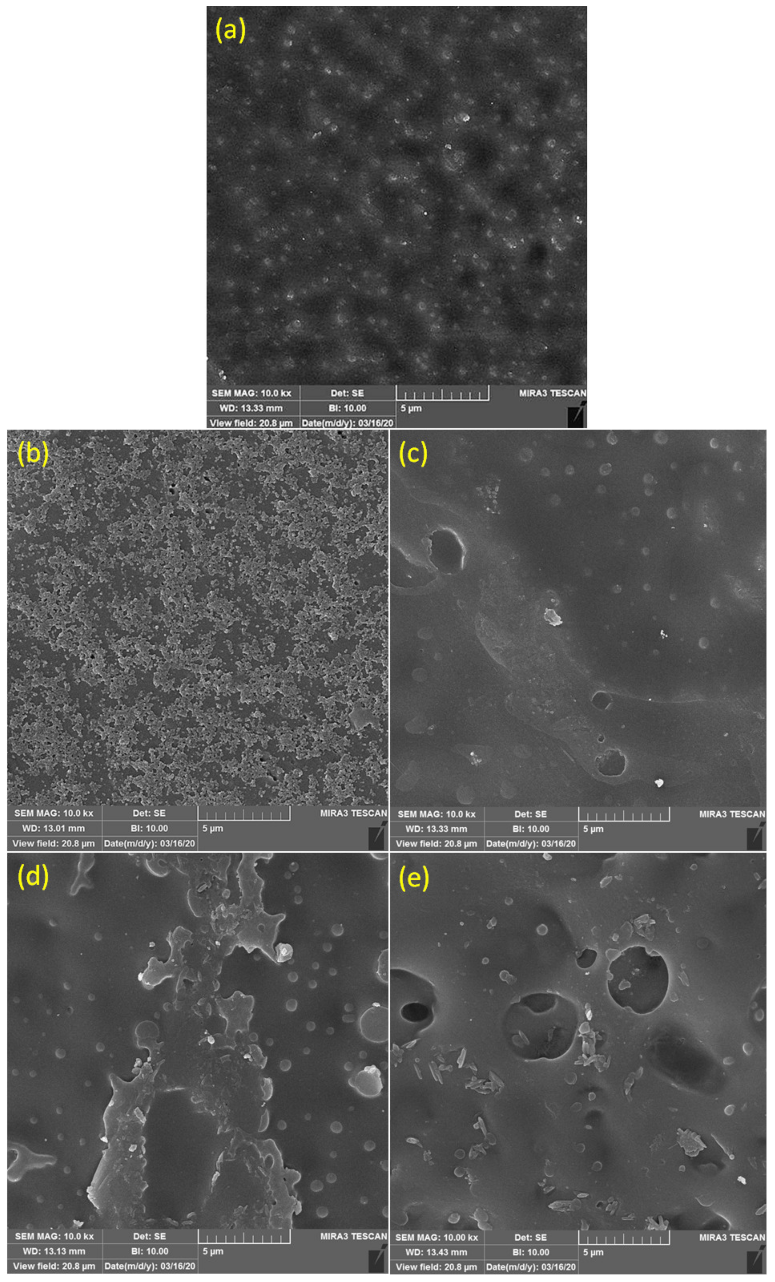 Processes 09 00091 g004