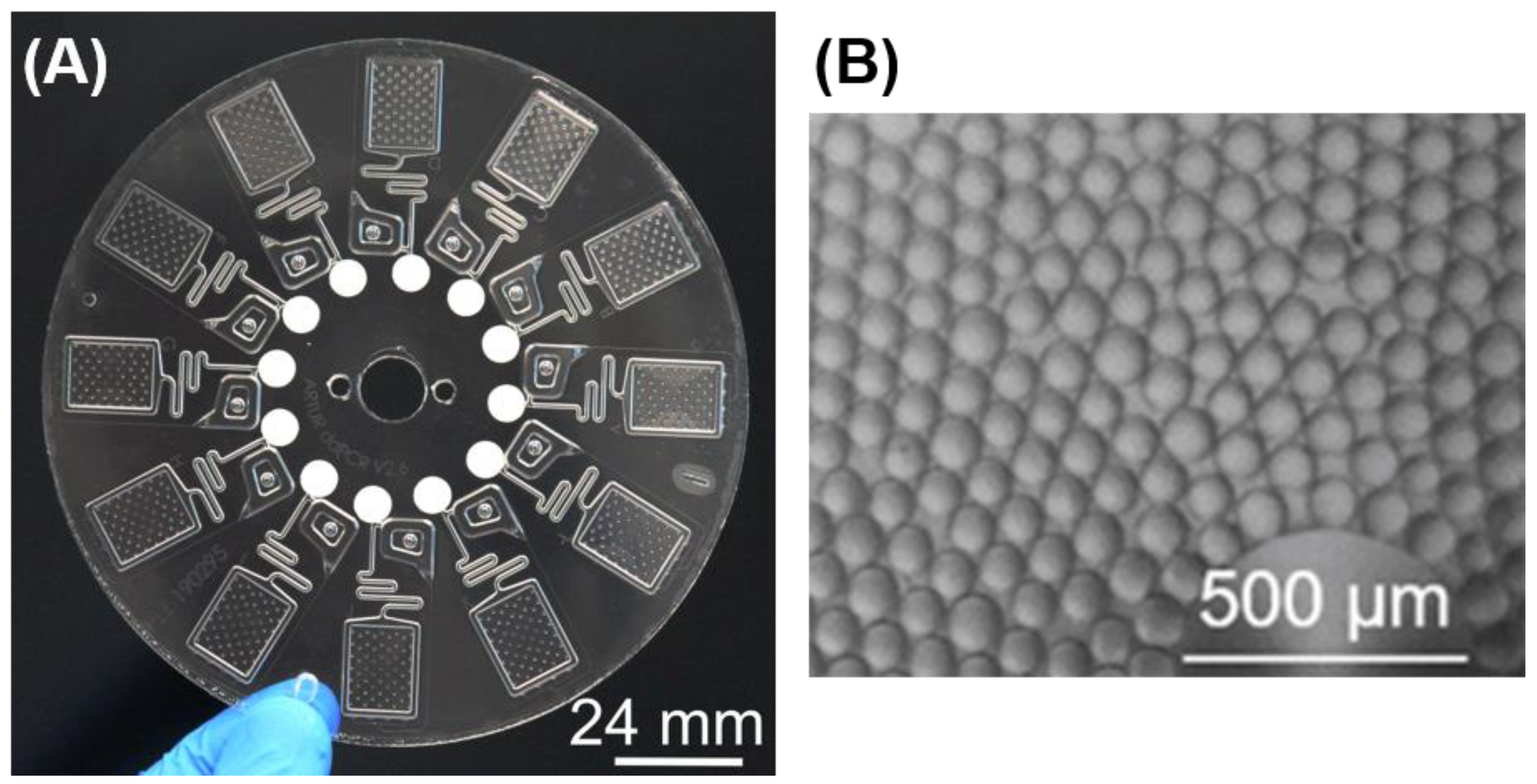 Processes 09 00097 g003