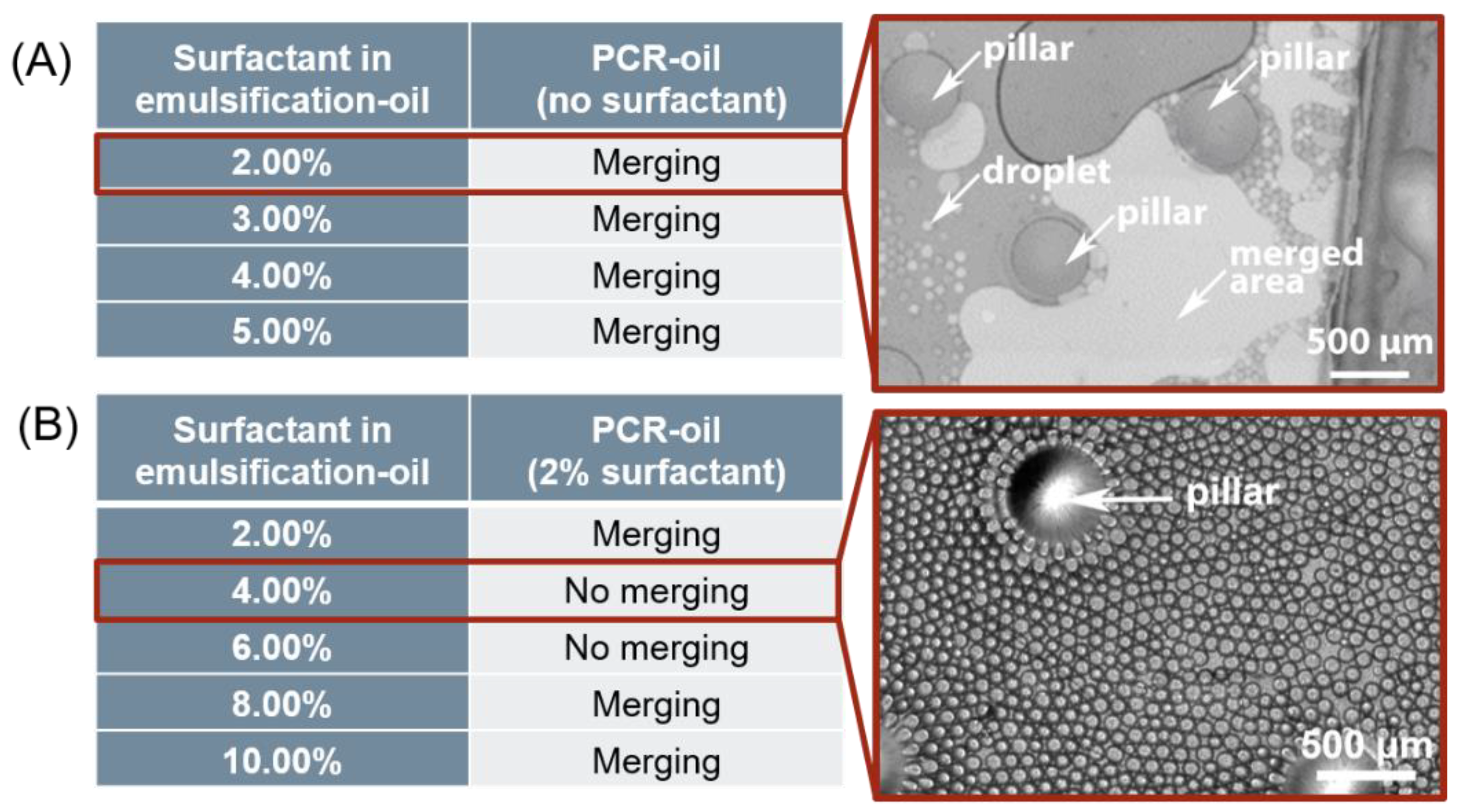 Processes 09 00097 g004