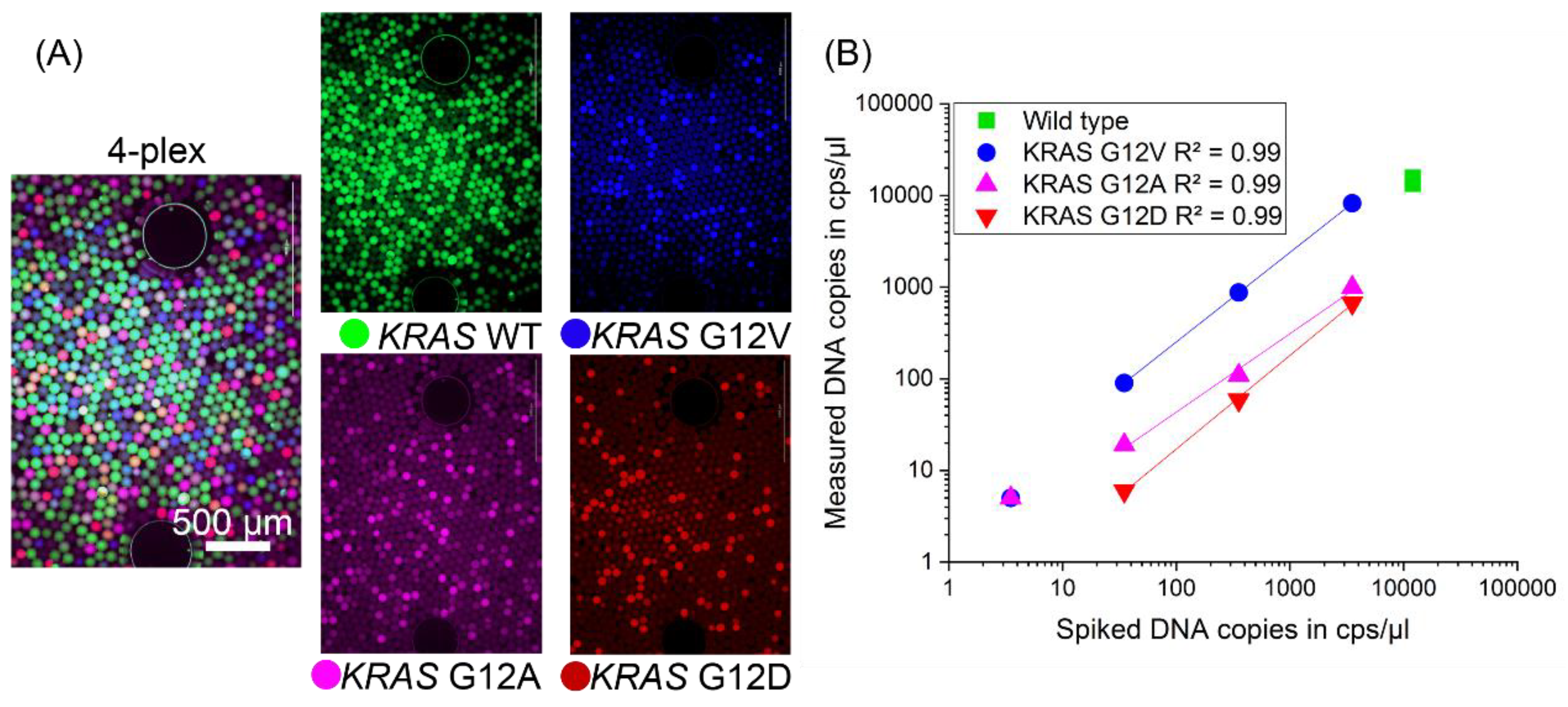 Processes 09 00097 g005