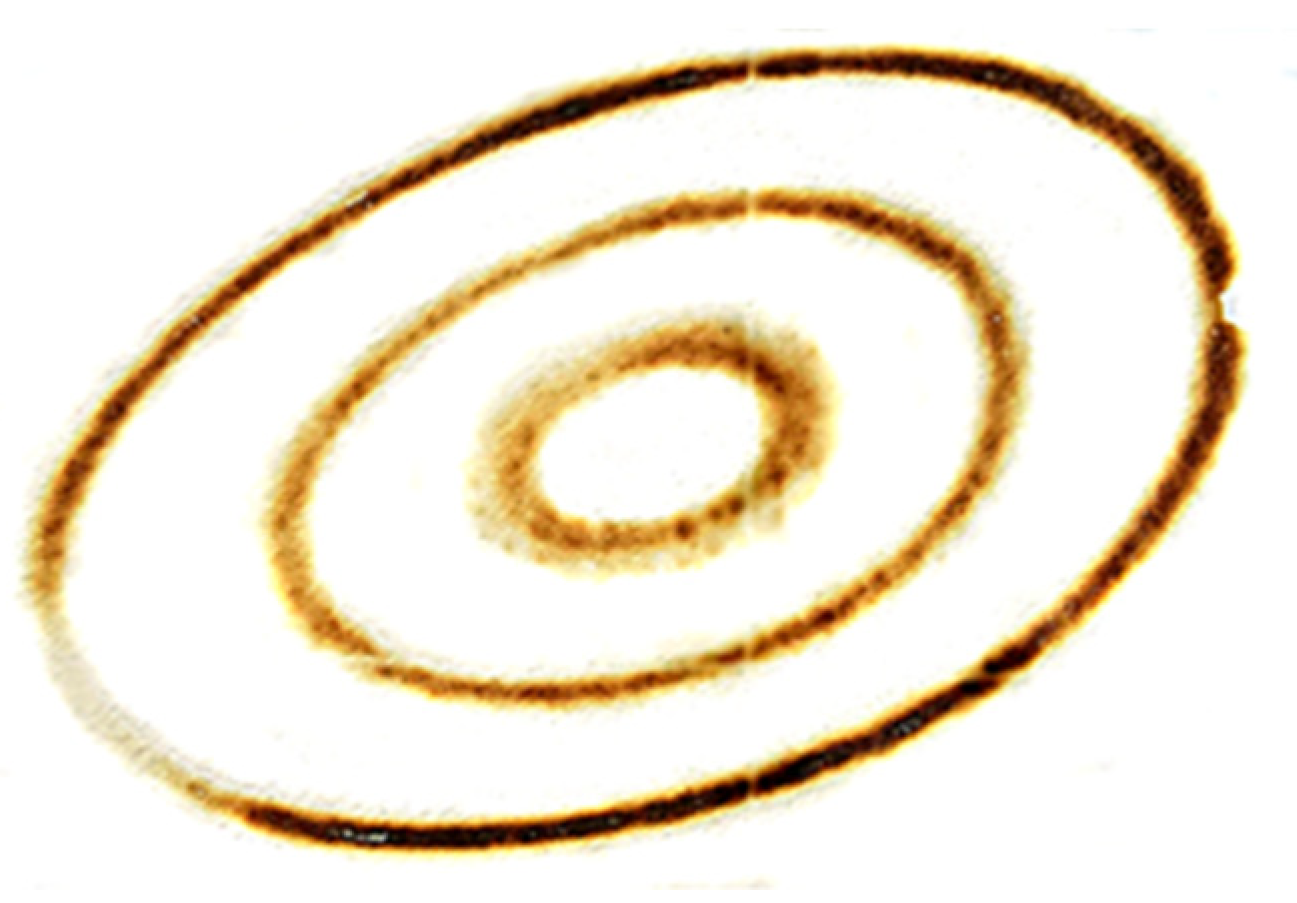 Processes 09 00103 g002