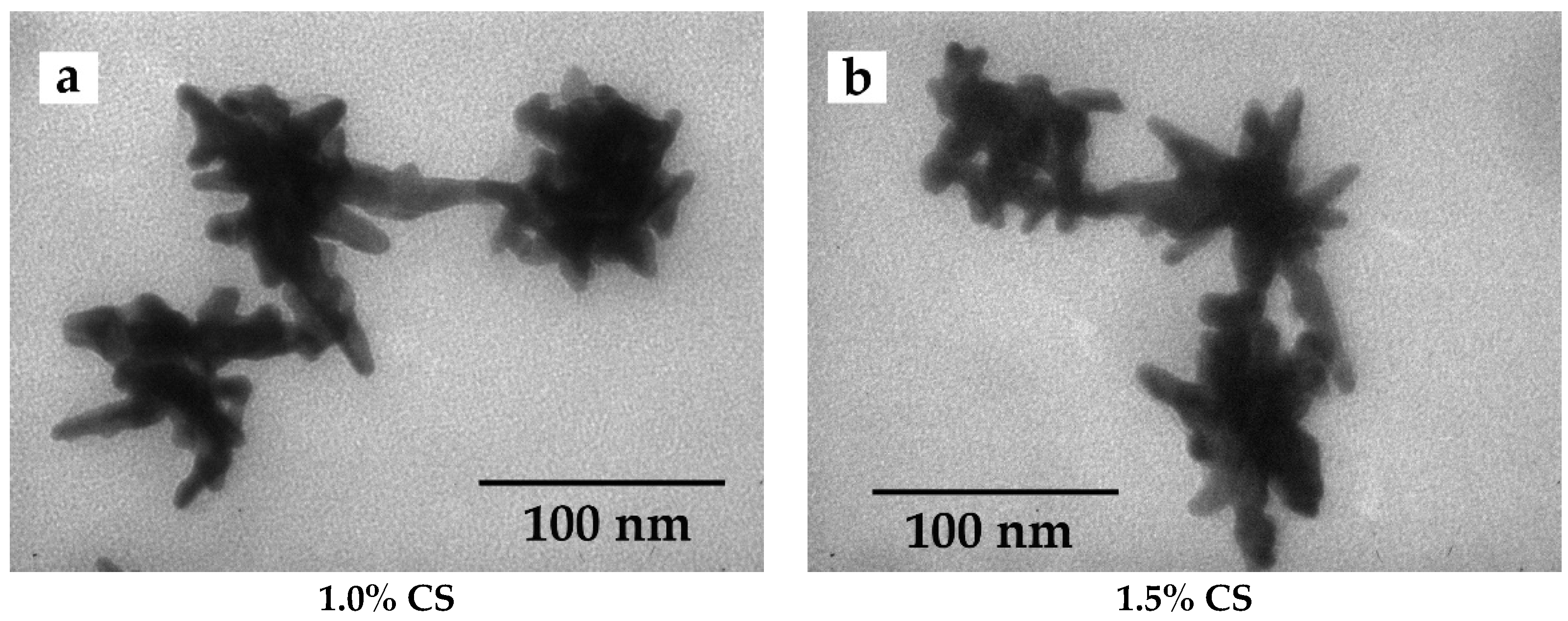 Processes 09 00112 g002