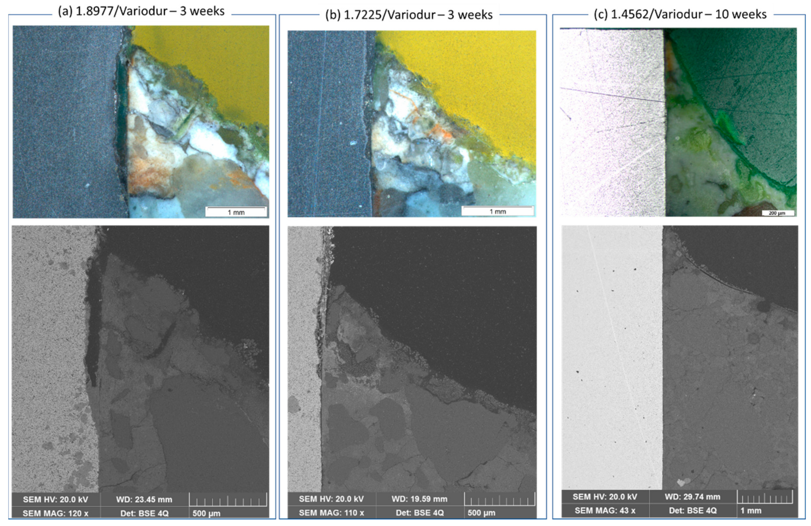 Processes 09 00115 g010