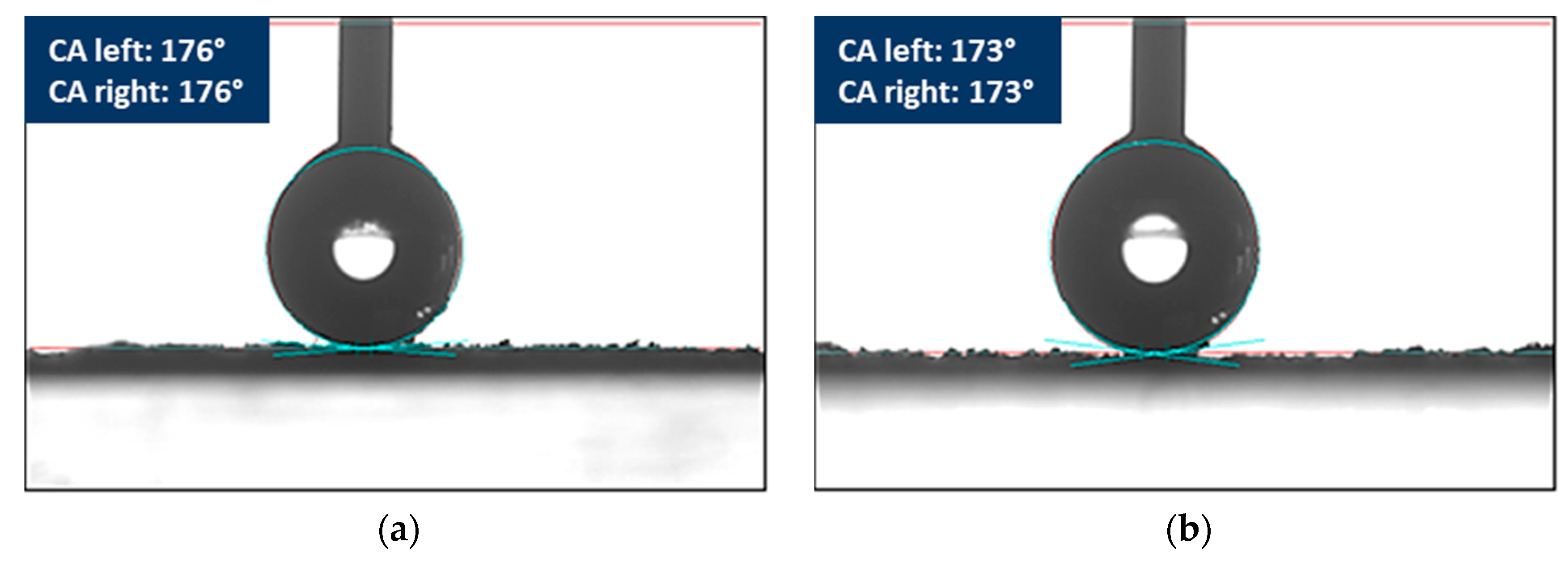 Processes 09 00134 g003