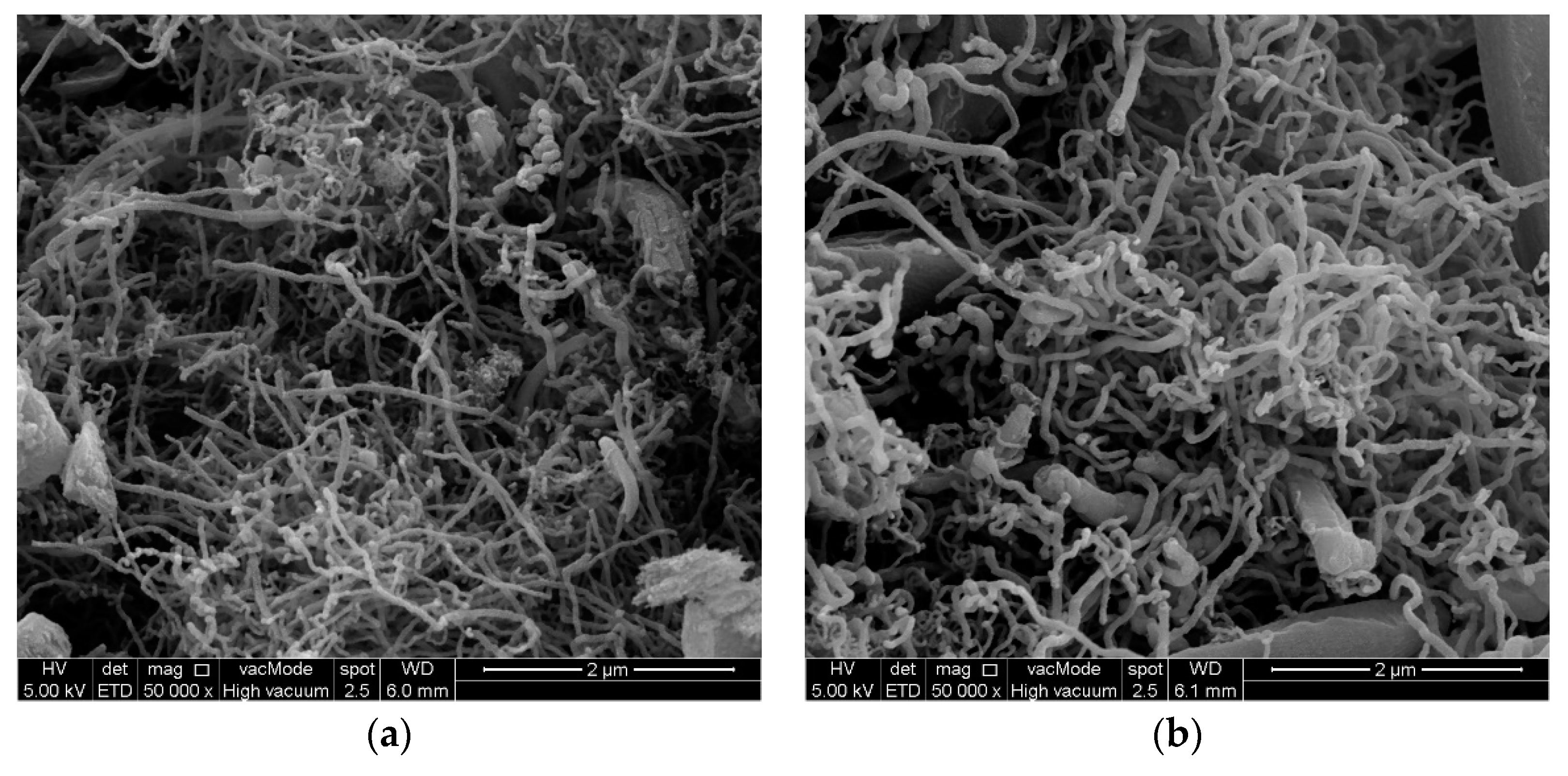 Processes 09 00134 g005a