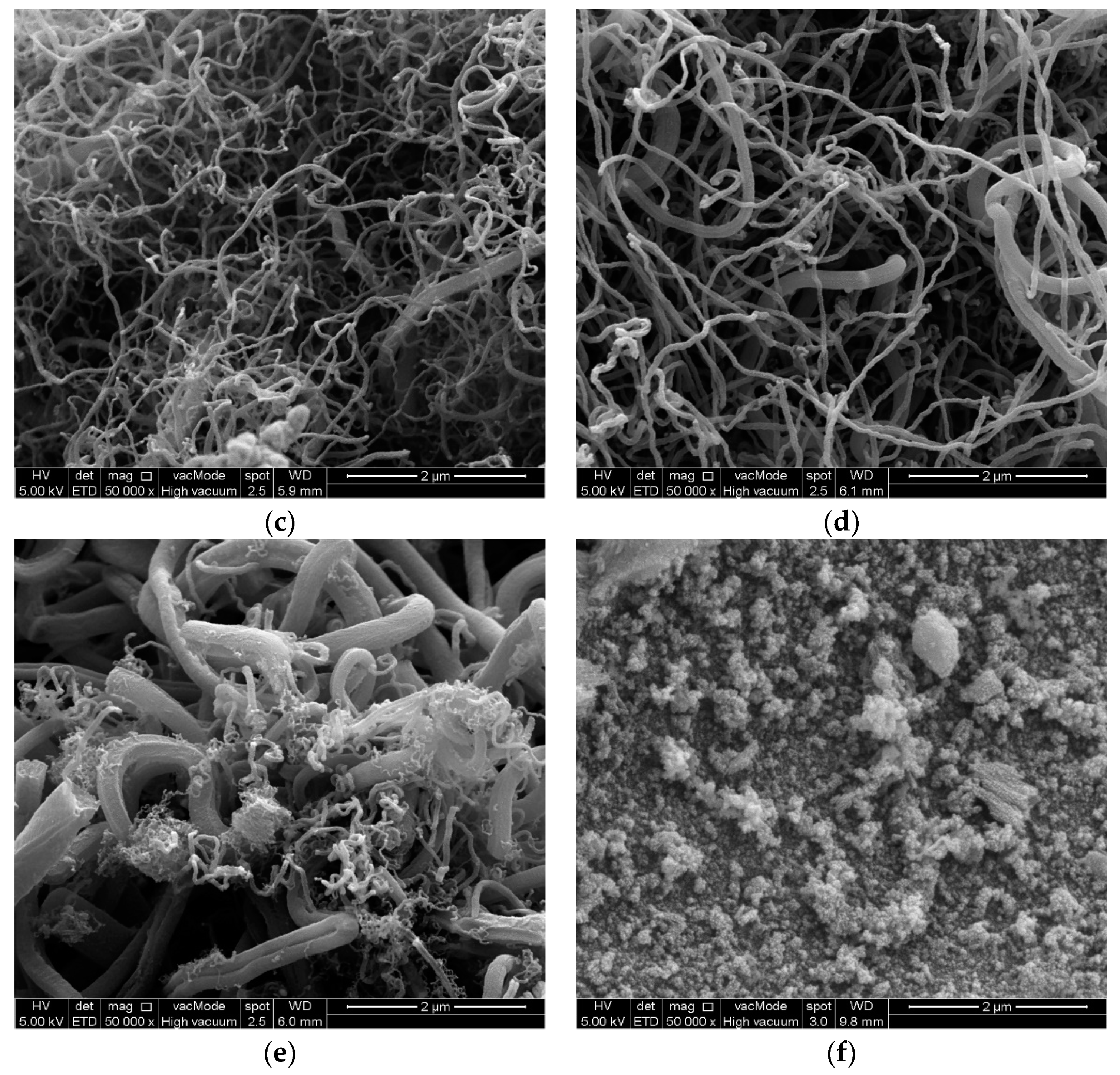 Processes 09 00134 g005b