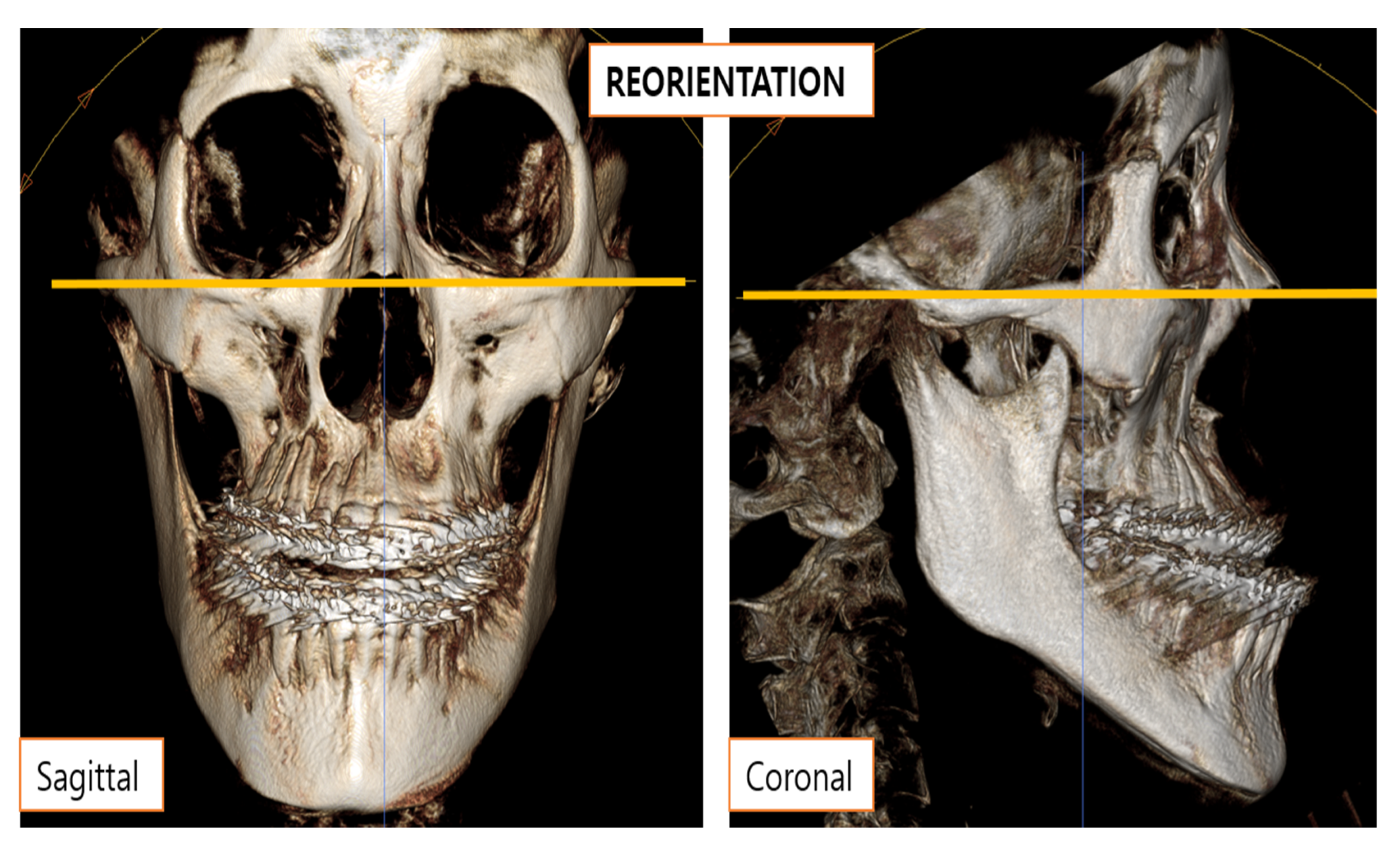 Processes 09 00152 g002