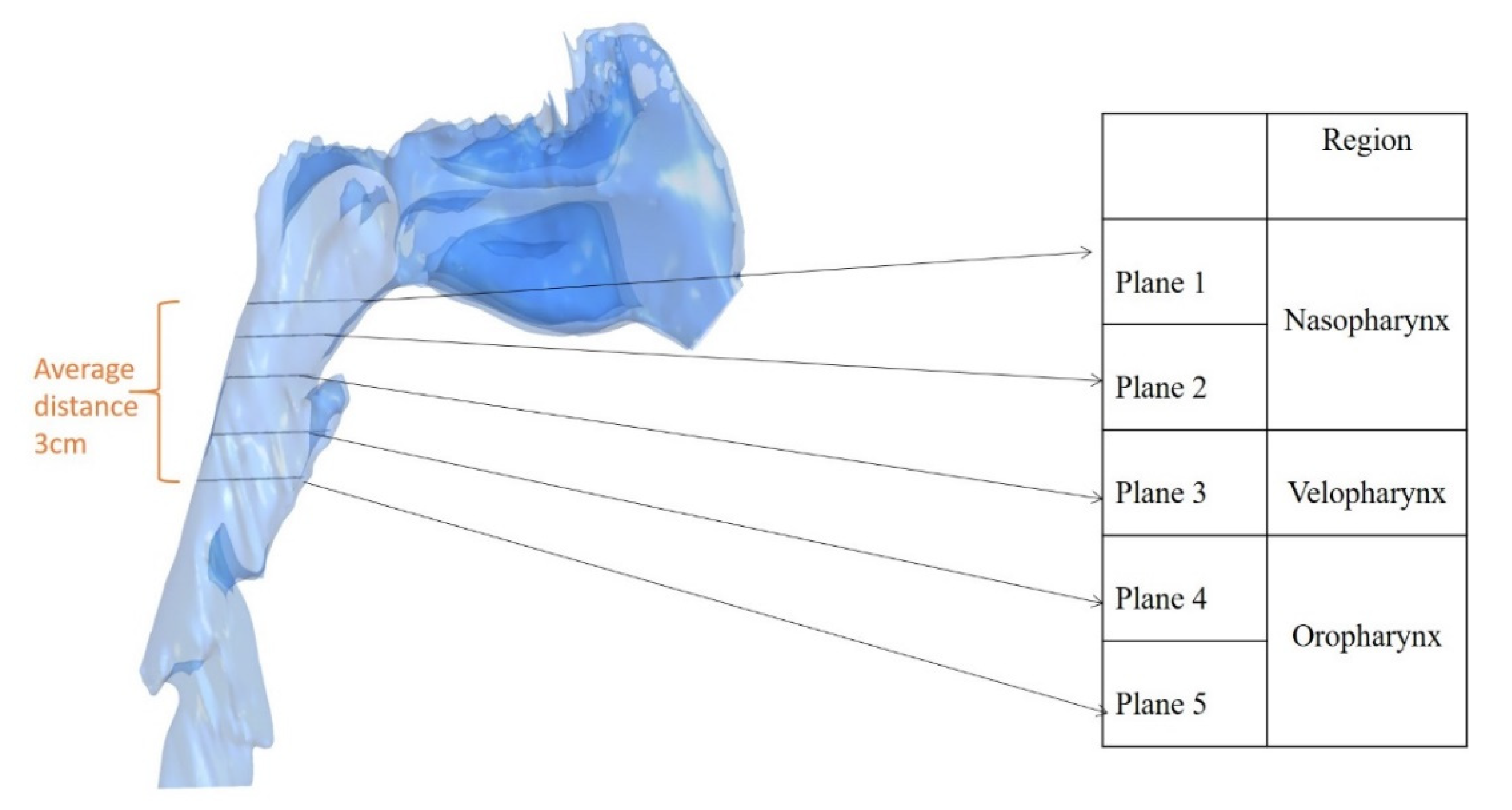 Processes 09 00152 g004