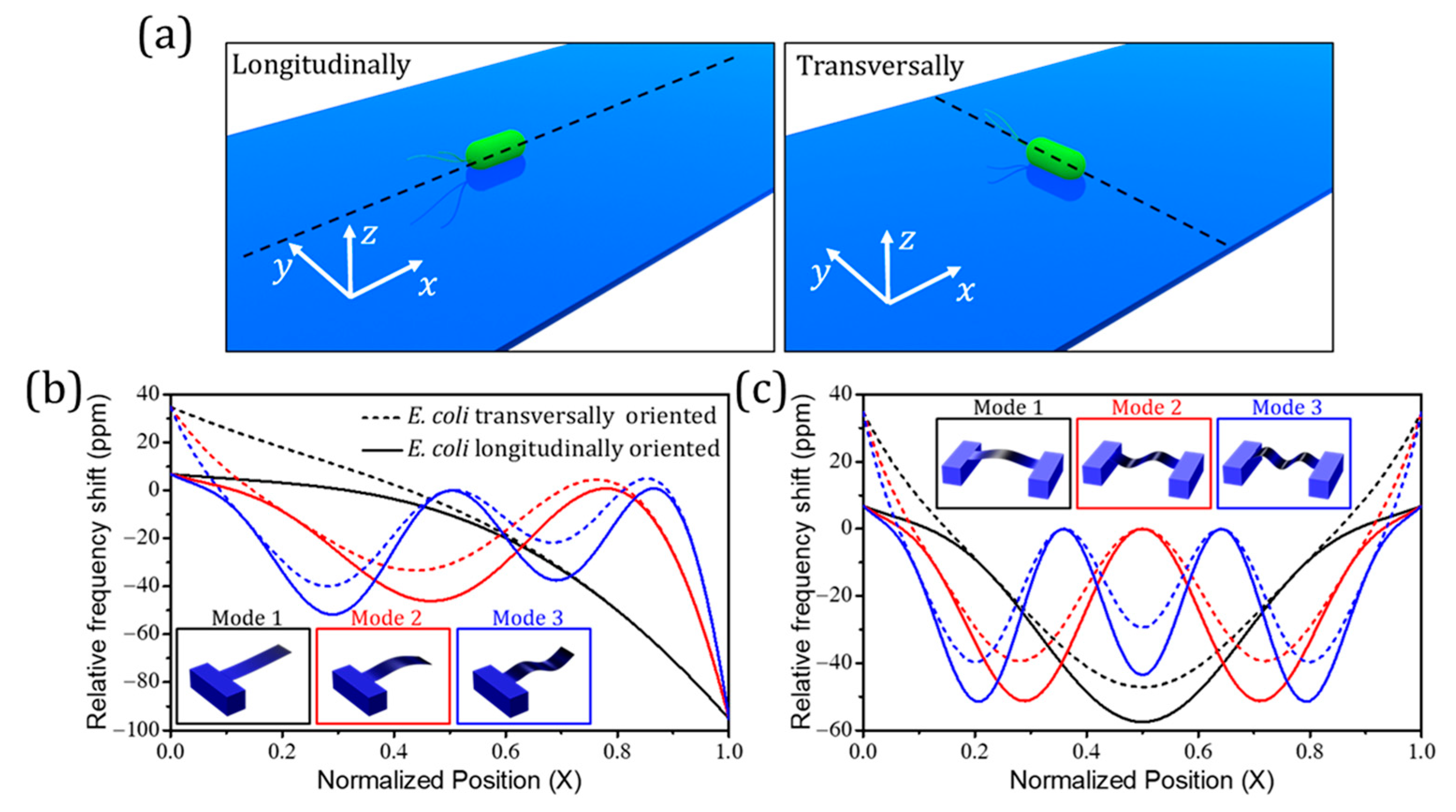 Processes 09 00164 g005
