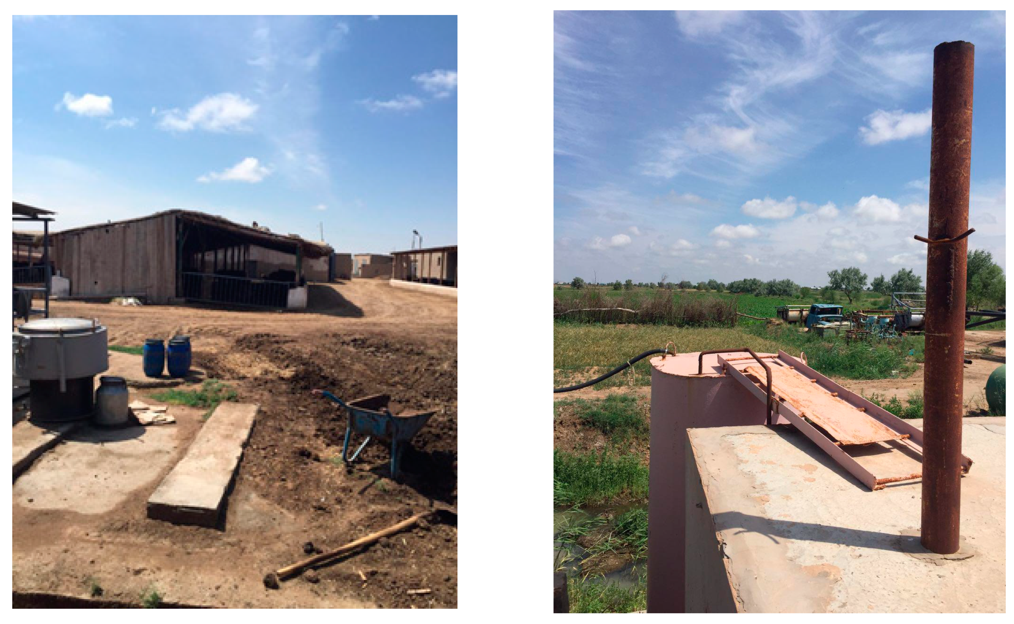 Processes 09 00199 g003b