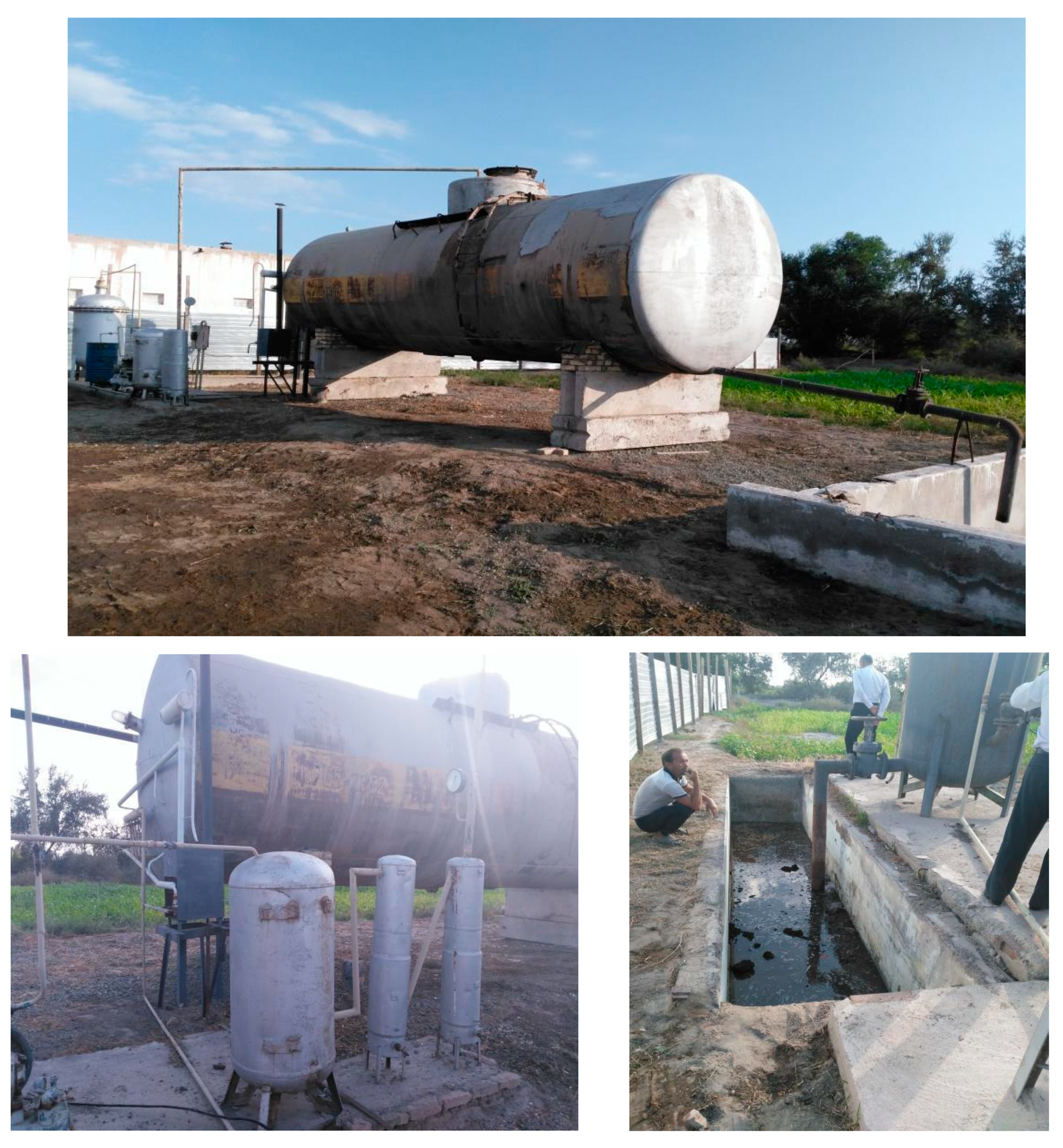 Processes 09 00199 g004