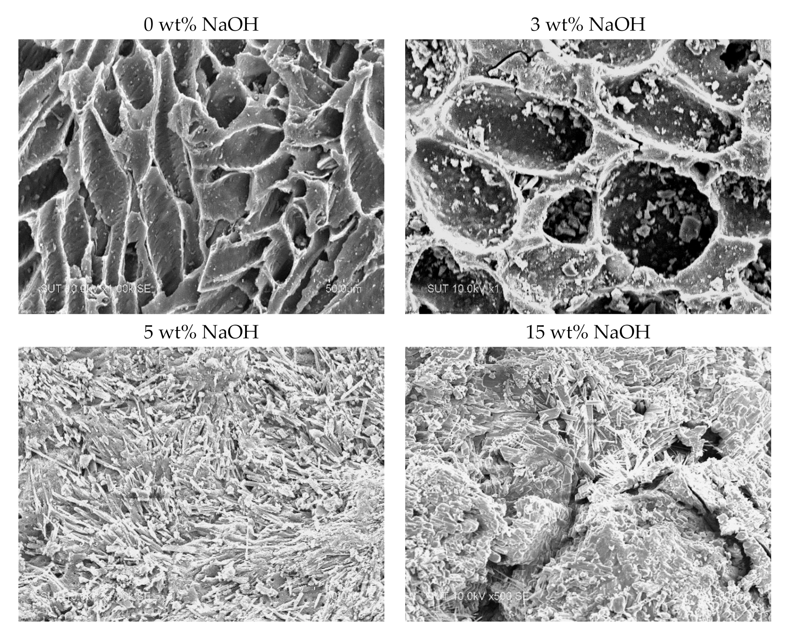 Processes 09 00201 g002