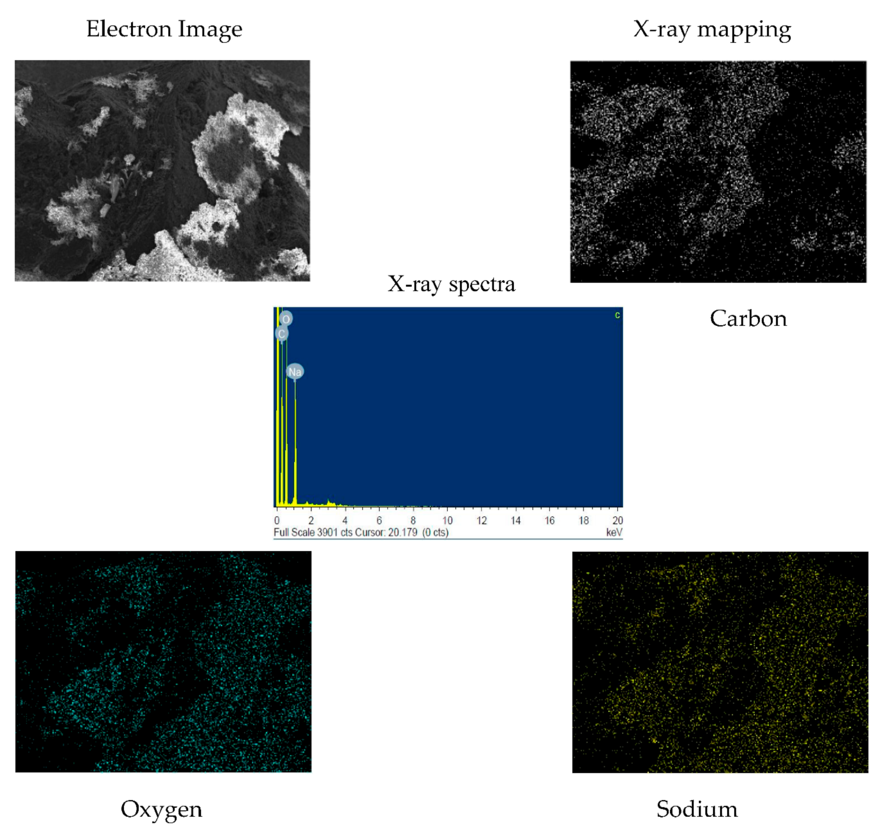 Processes 09 00201 g003