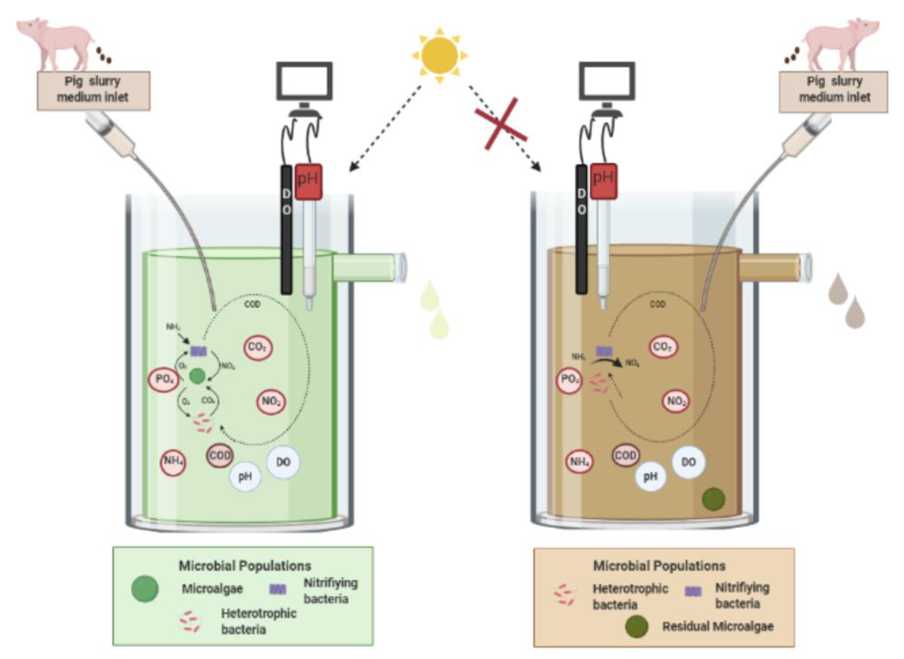 Processes 09 00203 g001