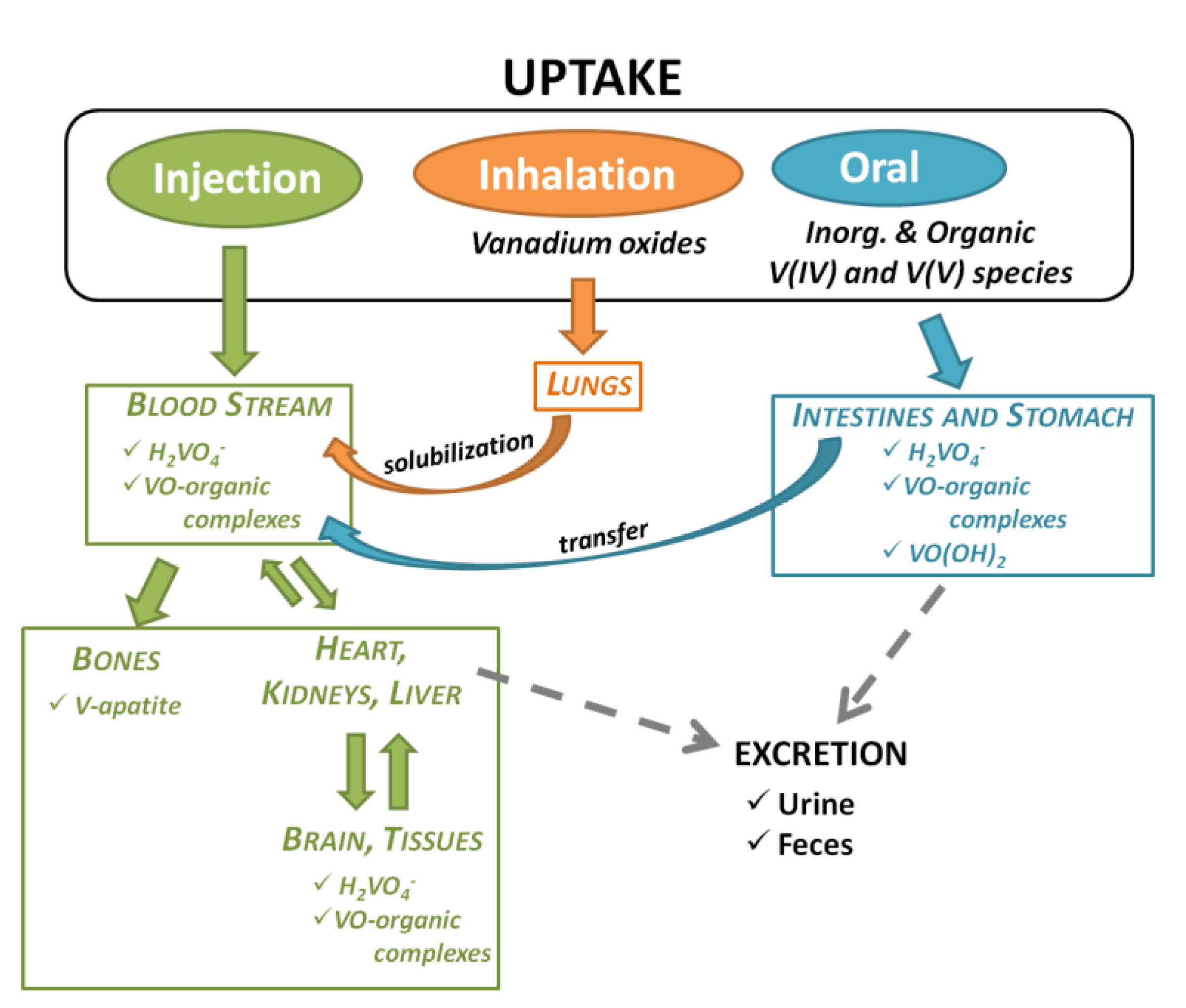 Processes 09 00214 g001
