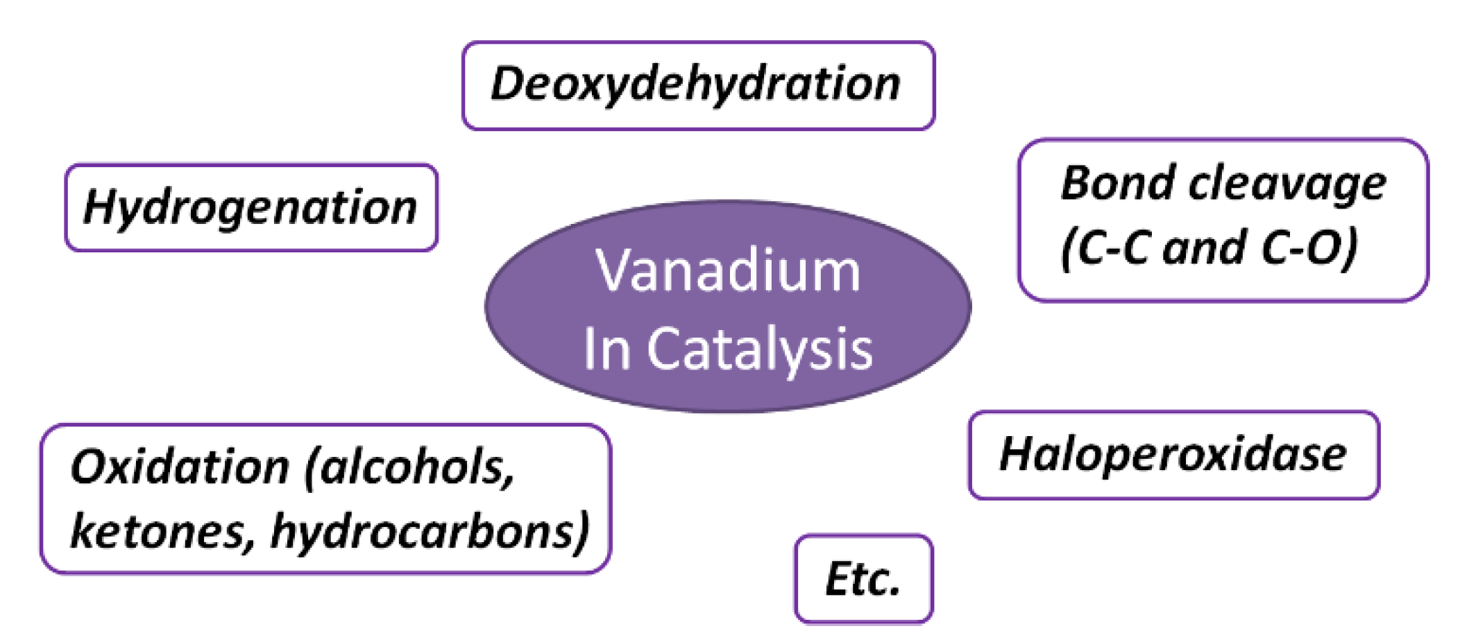 Processes 09 00214 g003