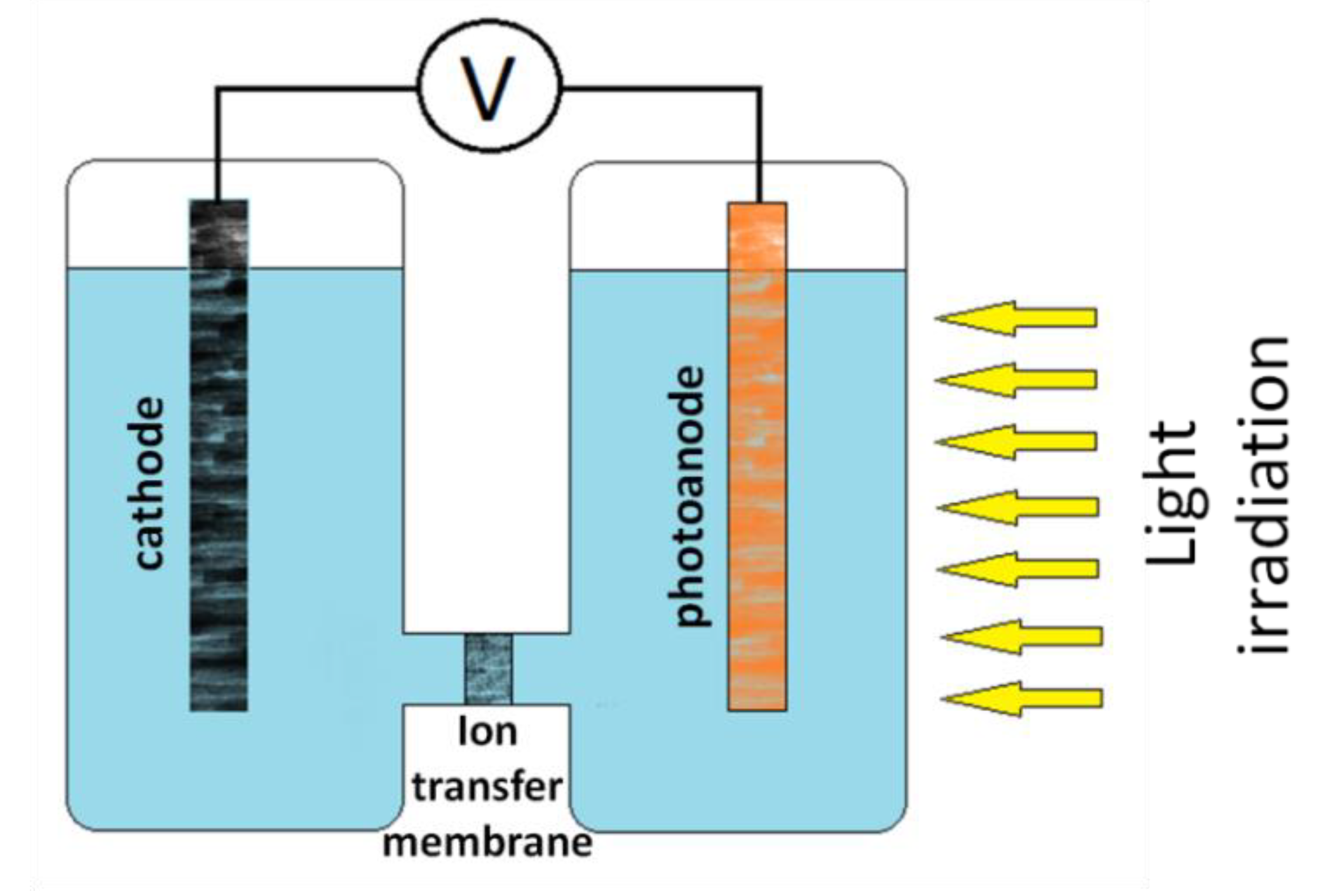 Processes 09 00214 g013