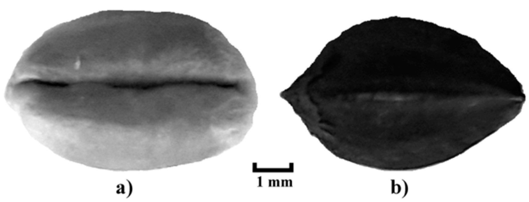 Processes 09 00215 g001