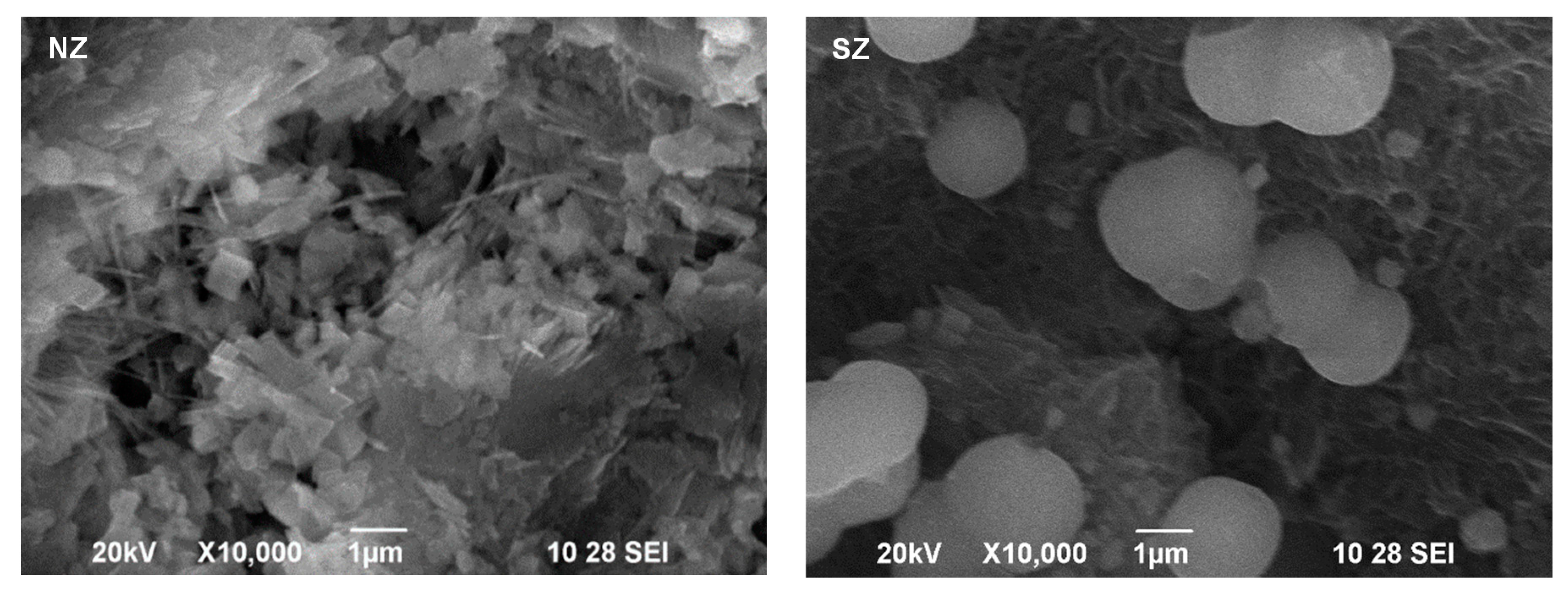 Processes 09 00217 g005 Processes 09 00217 g005