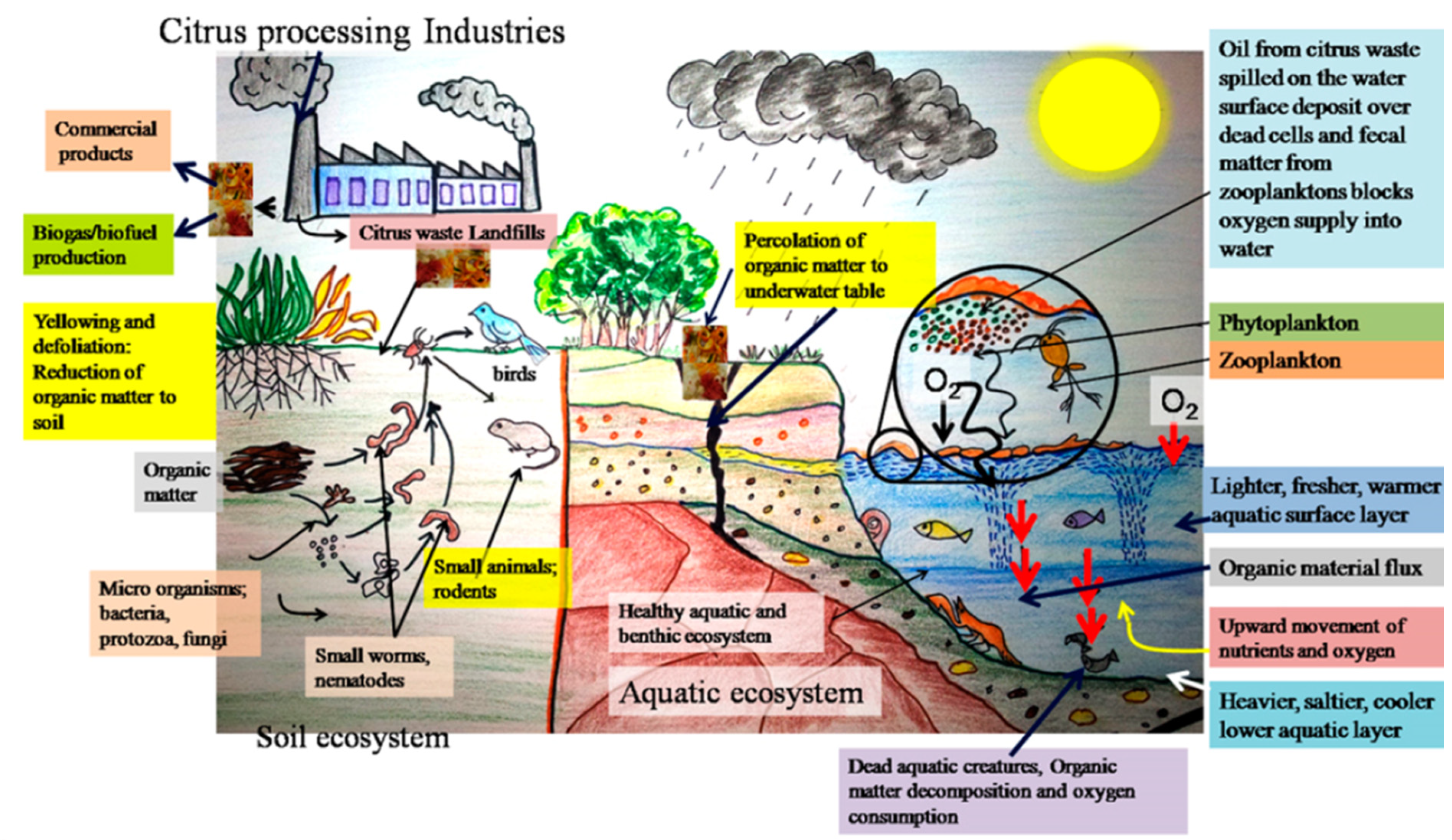 Processes 09 00220 g001 Processes 09 00220 g001