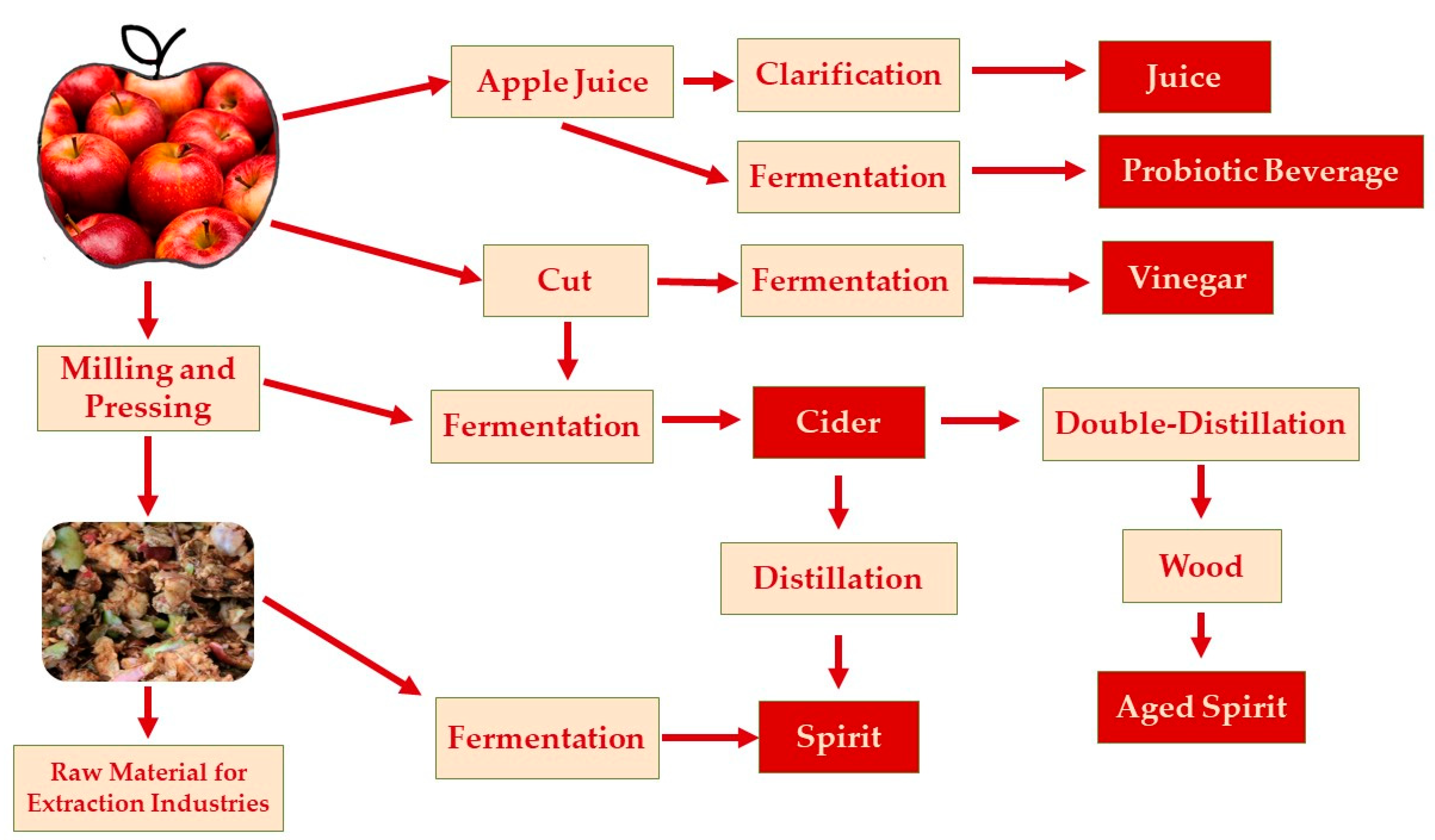 Processes 09 00223 g002