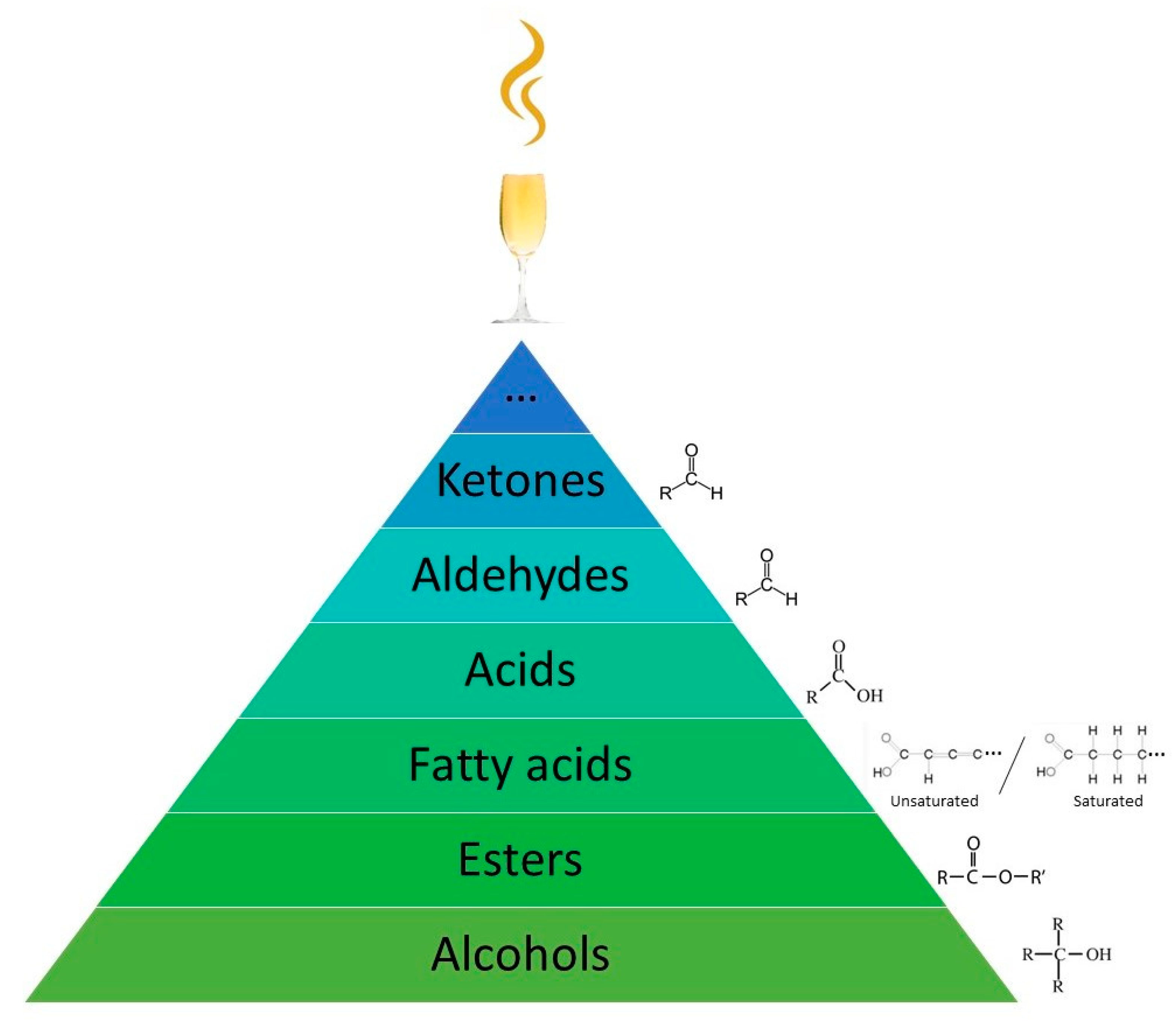 Processes 09 00223 g003