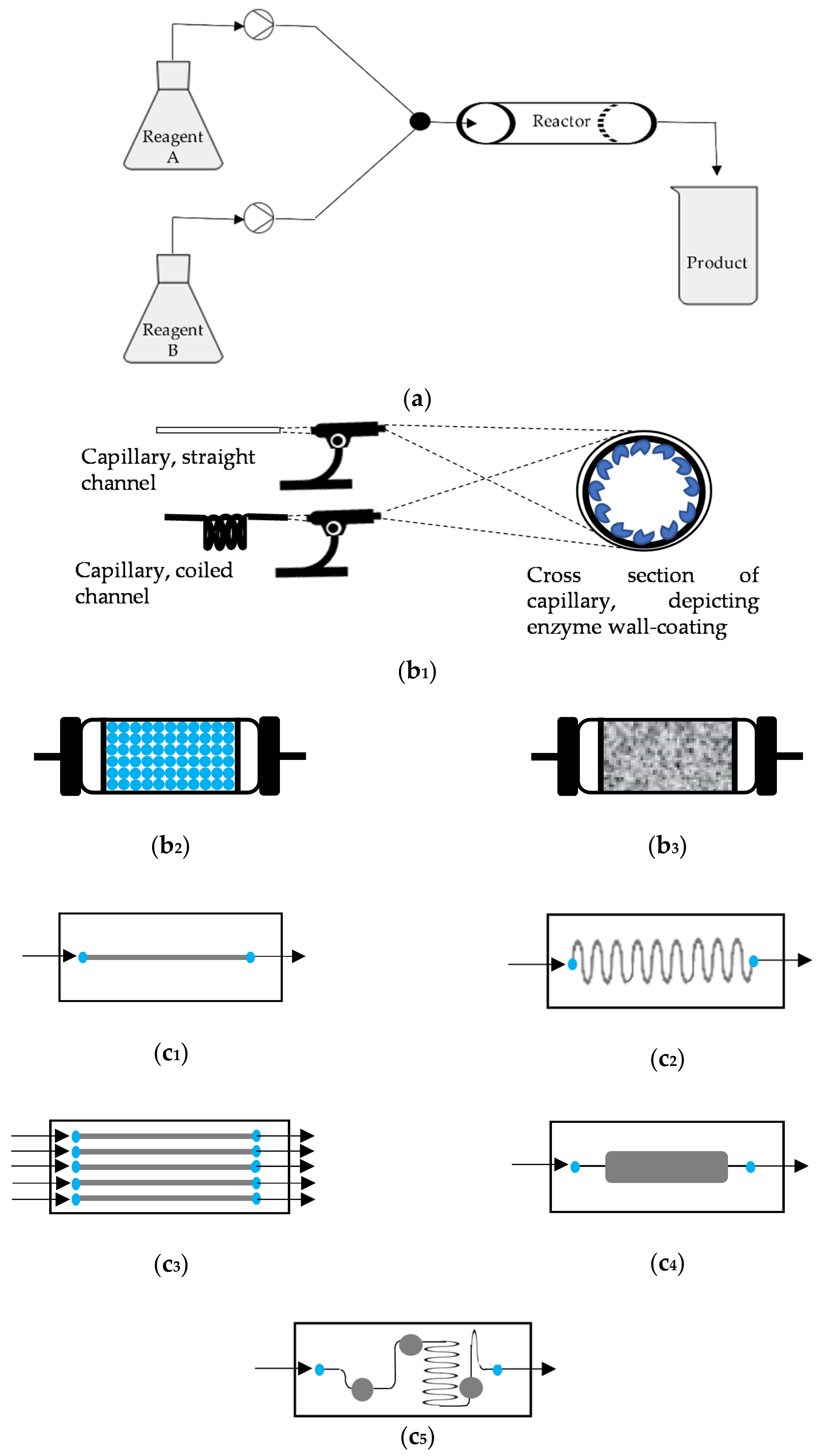 Processes 09 00225 g001