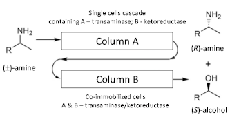 Processes 09 00225 i002