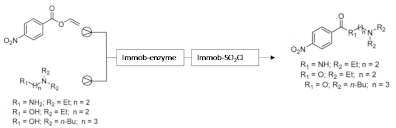 Processes 09 00225 i005