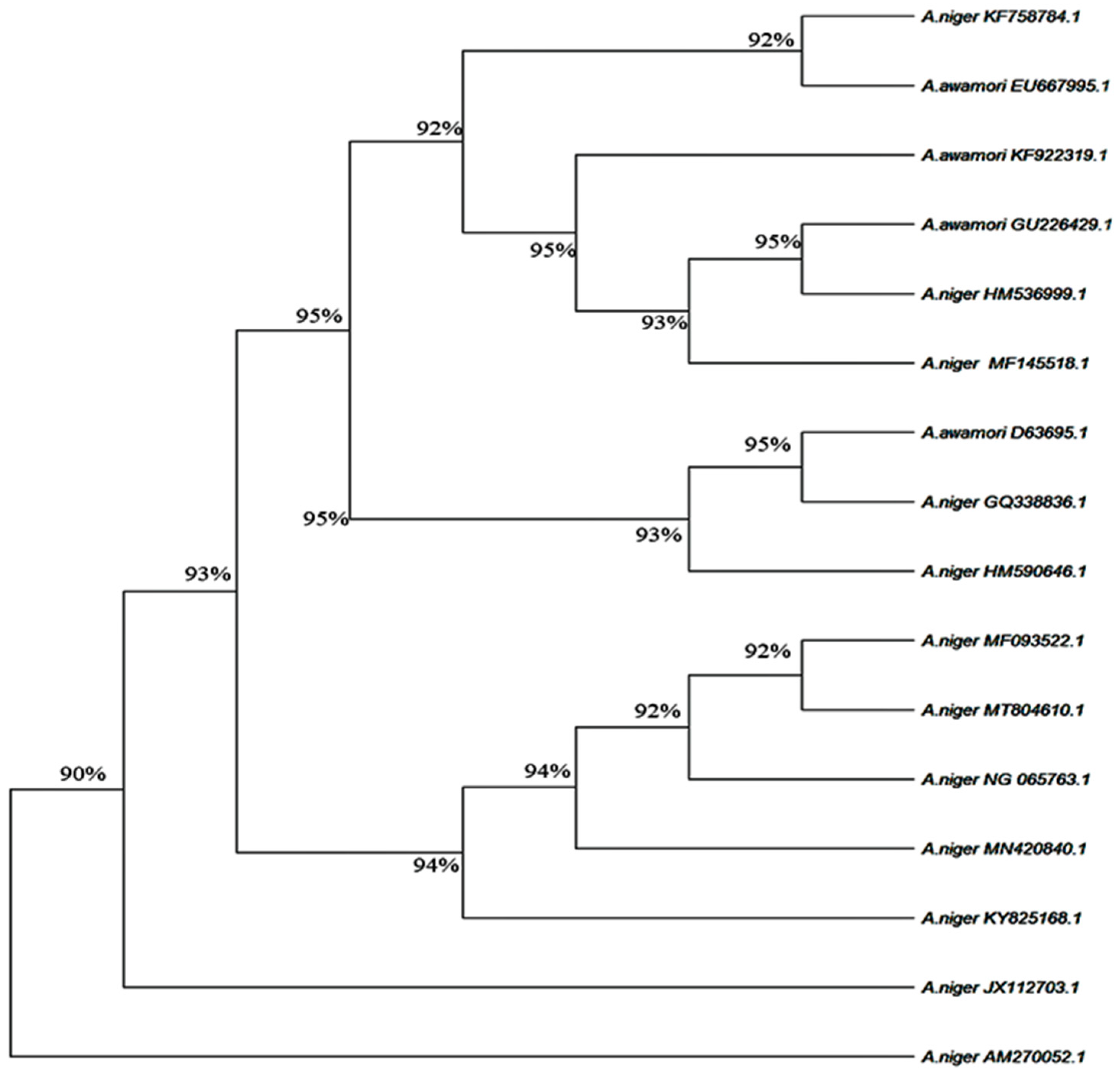 Processes 09 00227 g001 Processes 09 00227 g001