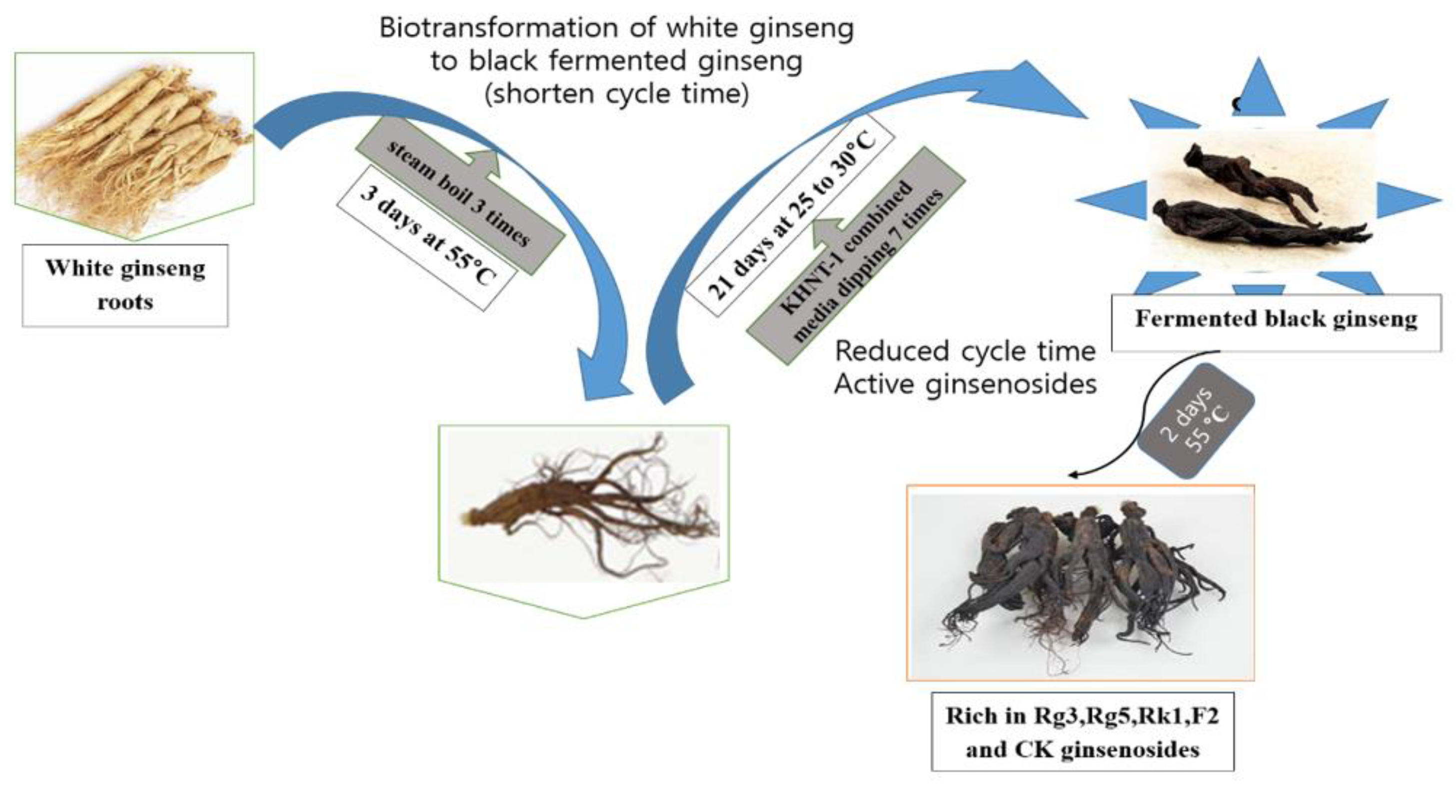 Processes 09 00227 g002 Processes 09 00227 g002