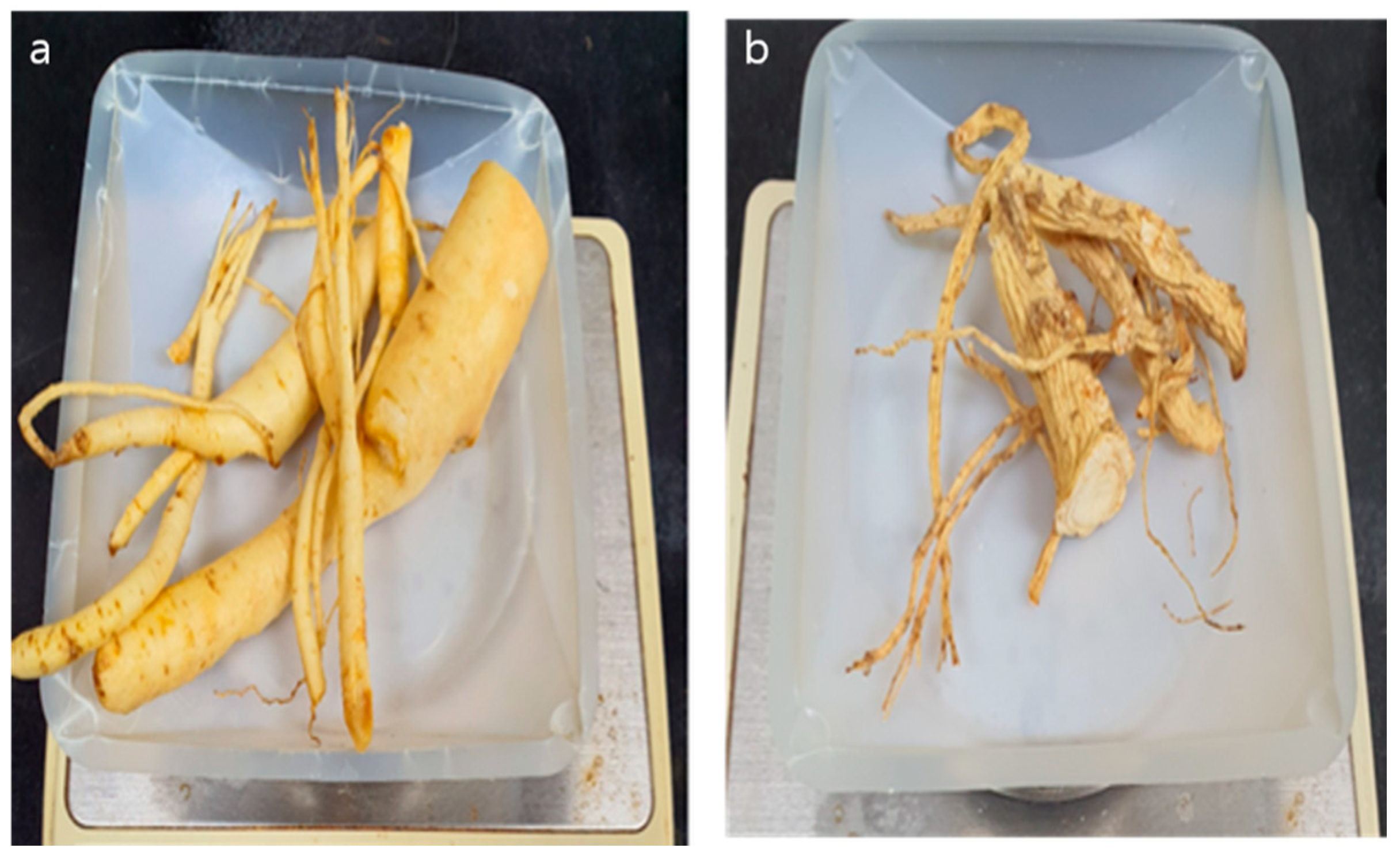 Processes 09 00227 g003 Processes 09 00227 g003