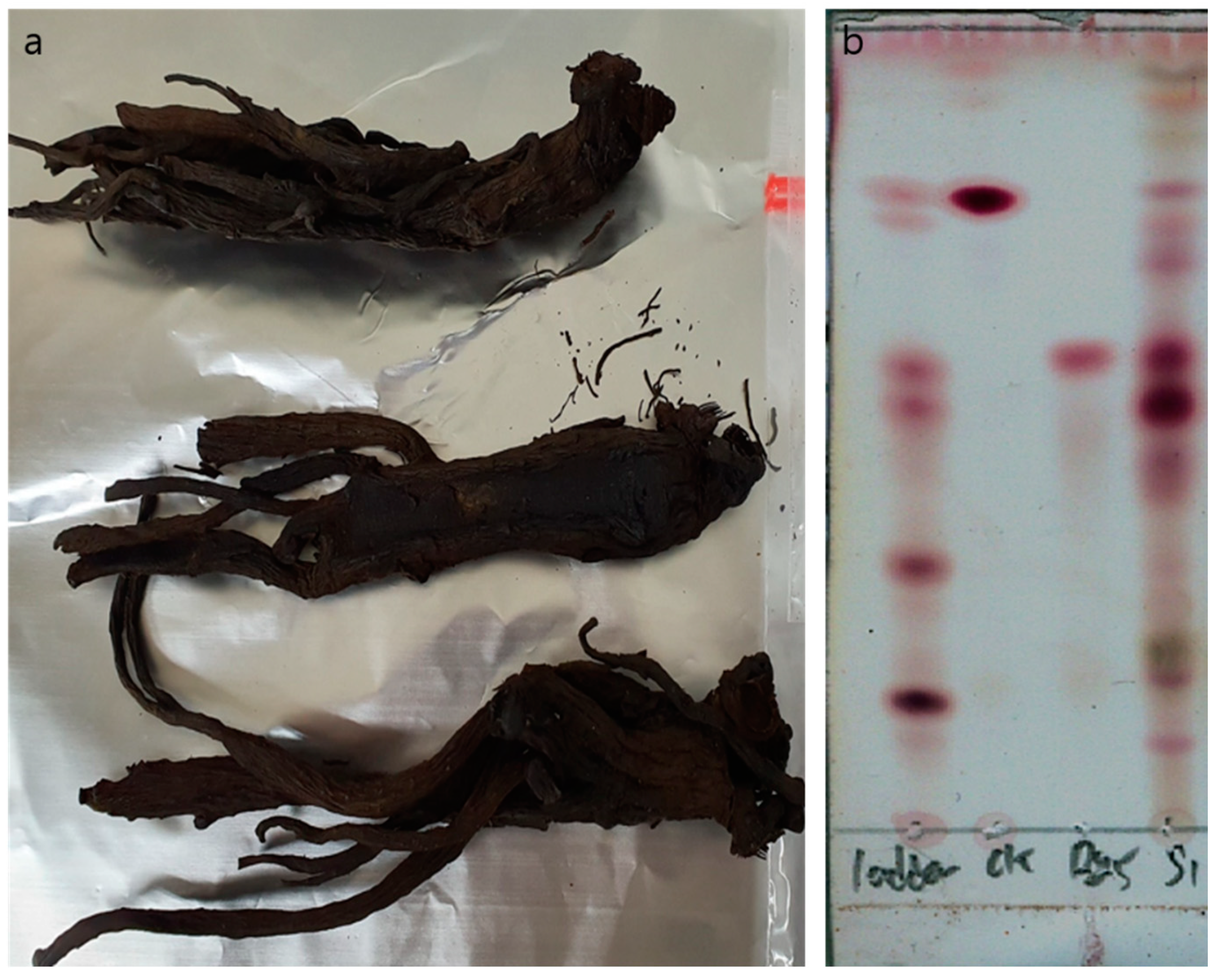 Processes 09 00227 g005 Processes 09 00227 g005