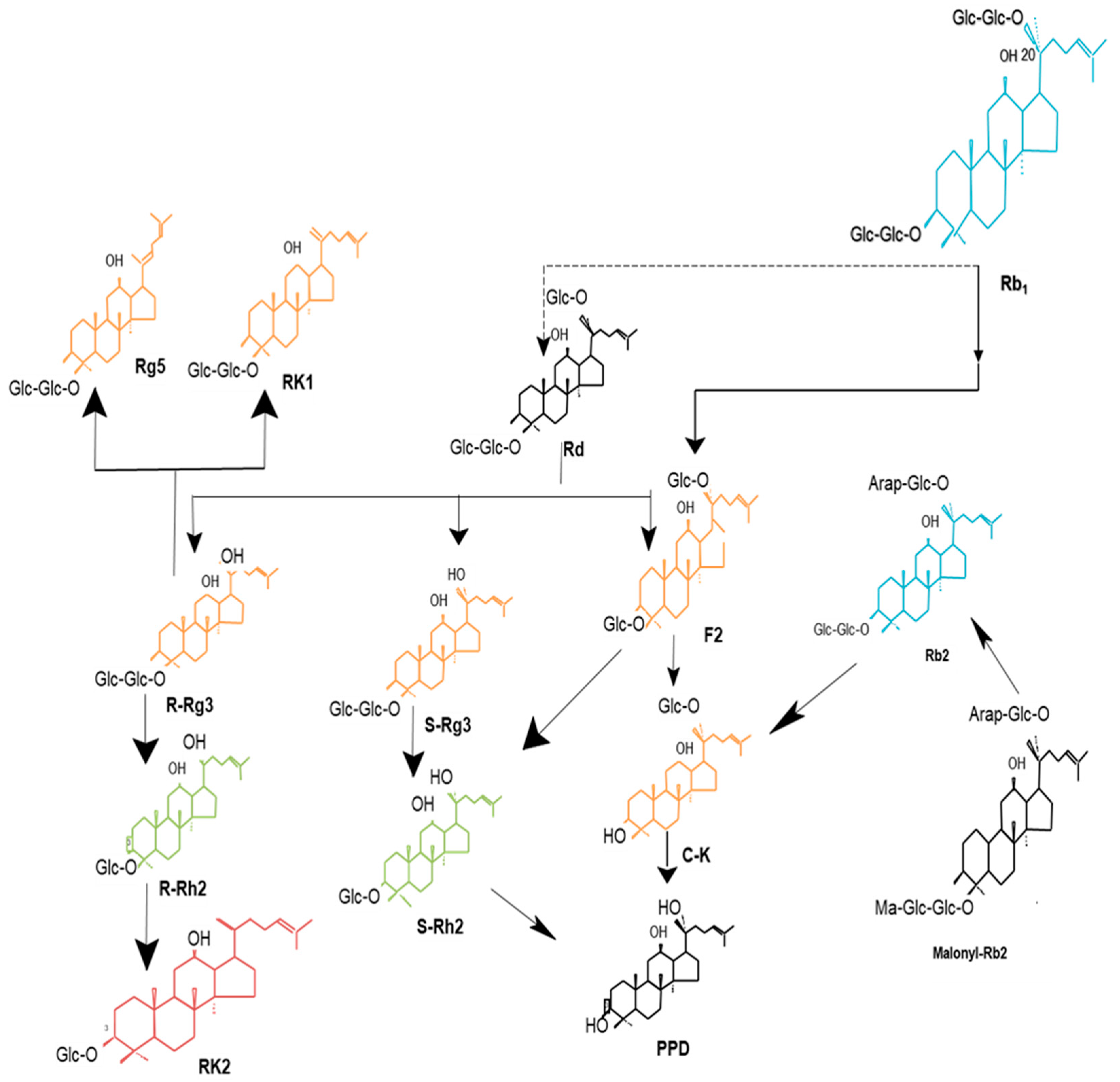 Processes 09 00227 g009 Processes 09 00227 g009