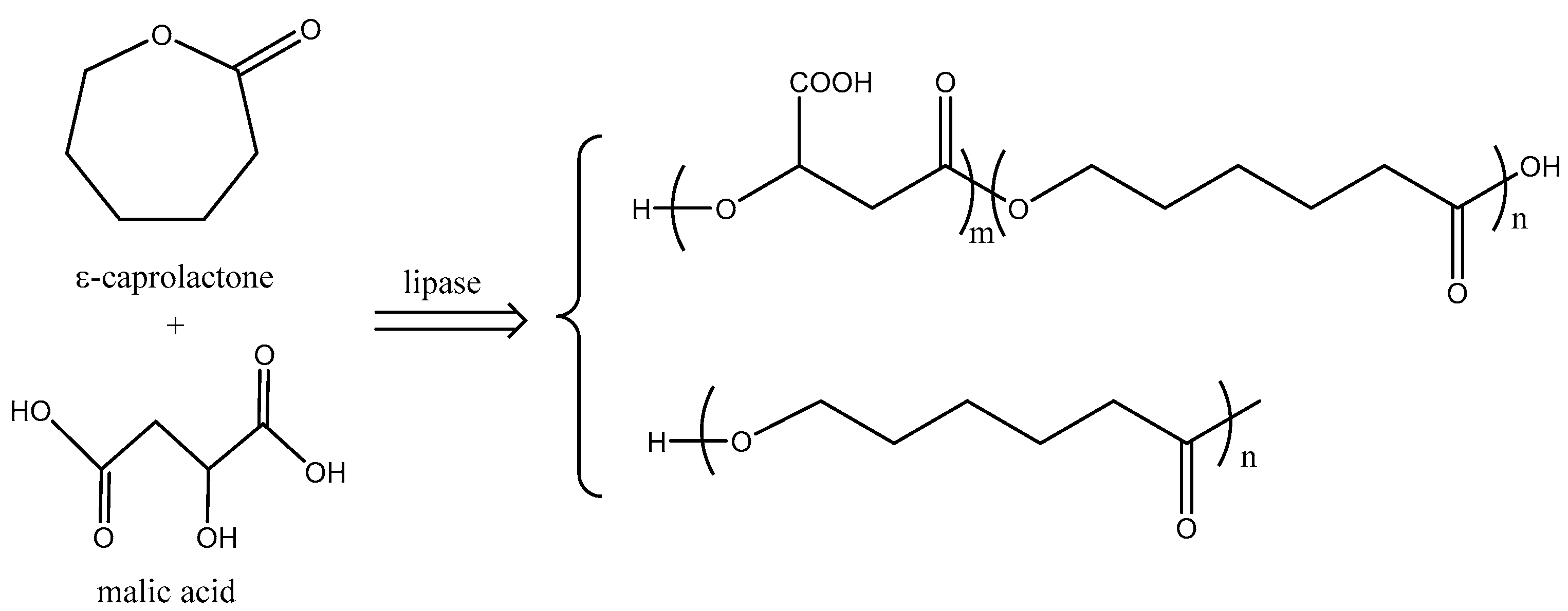 Processes 09 00232 g001