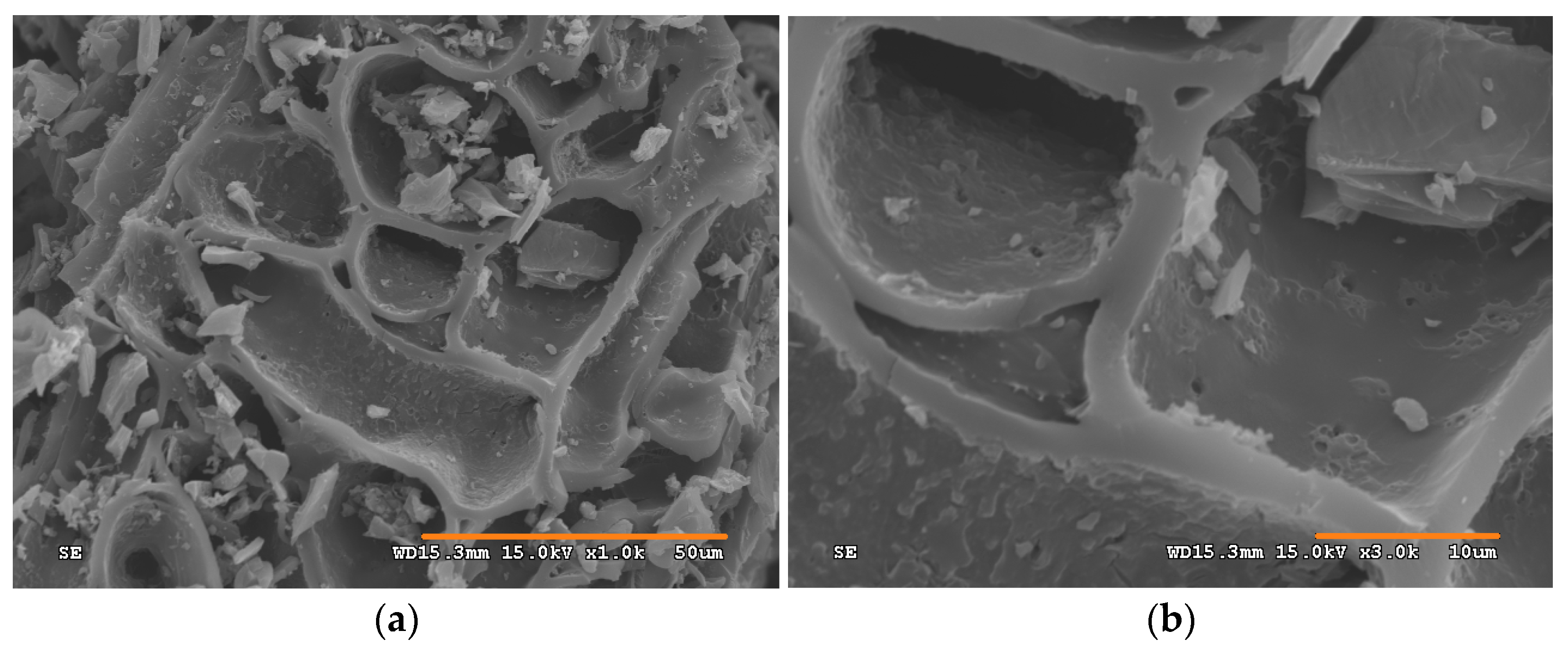 Processes 09 00238 g003