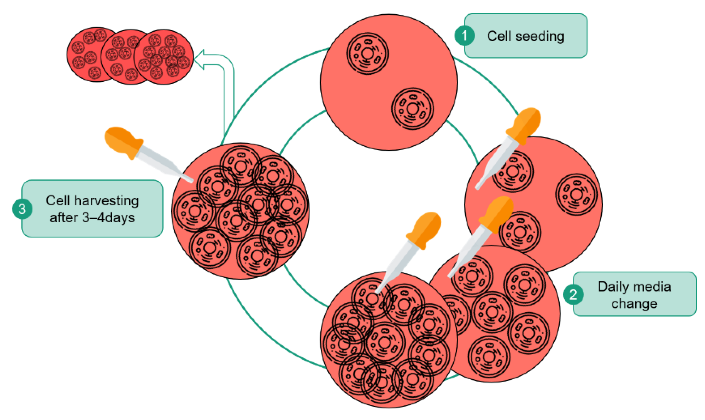 Processes 09 00240 g001