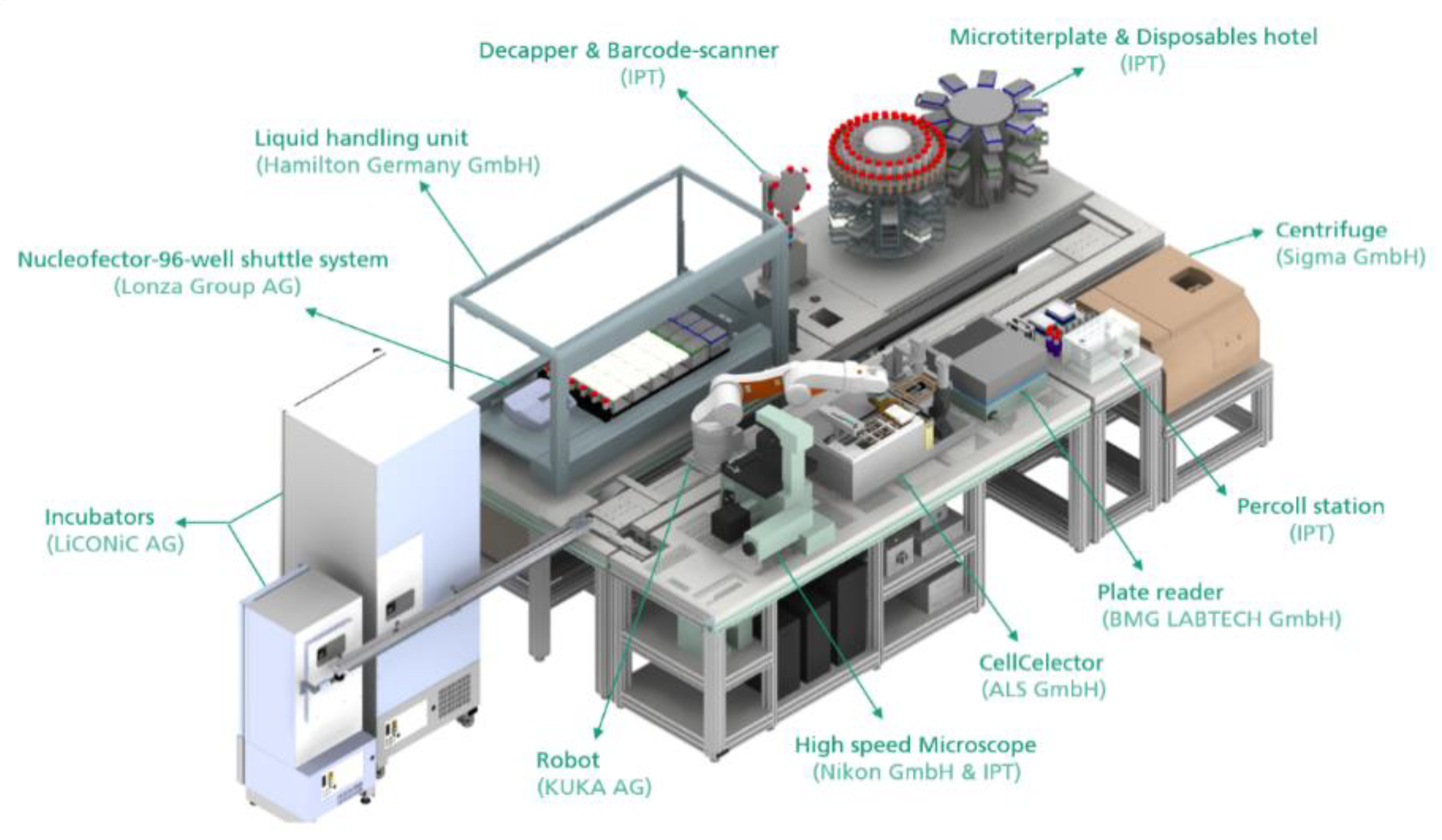 Processes 09 00240 g002