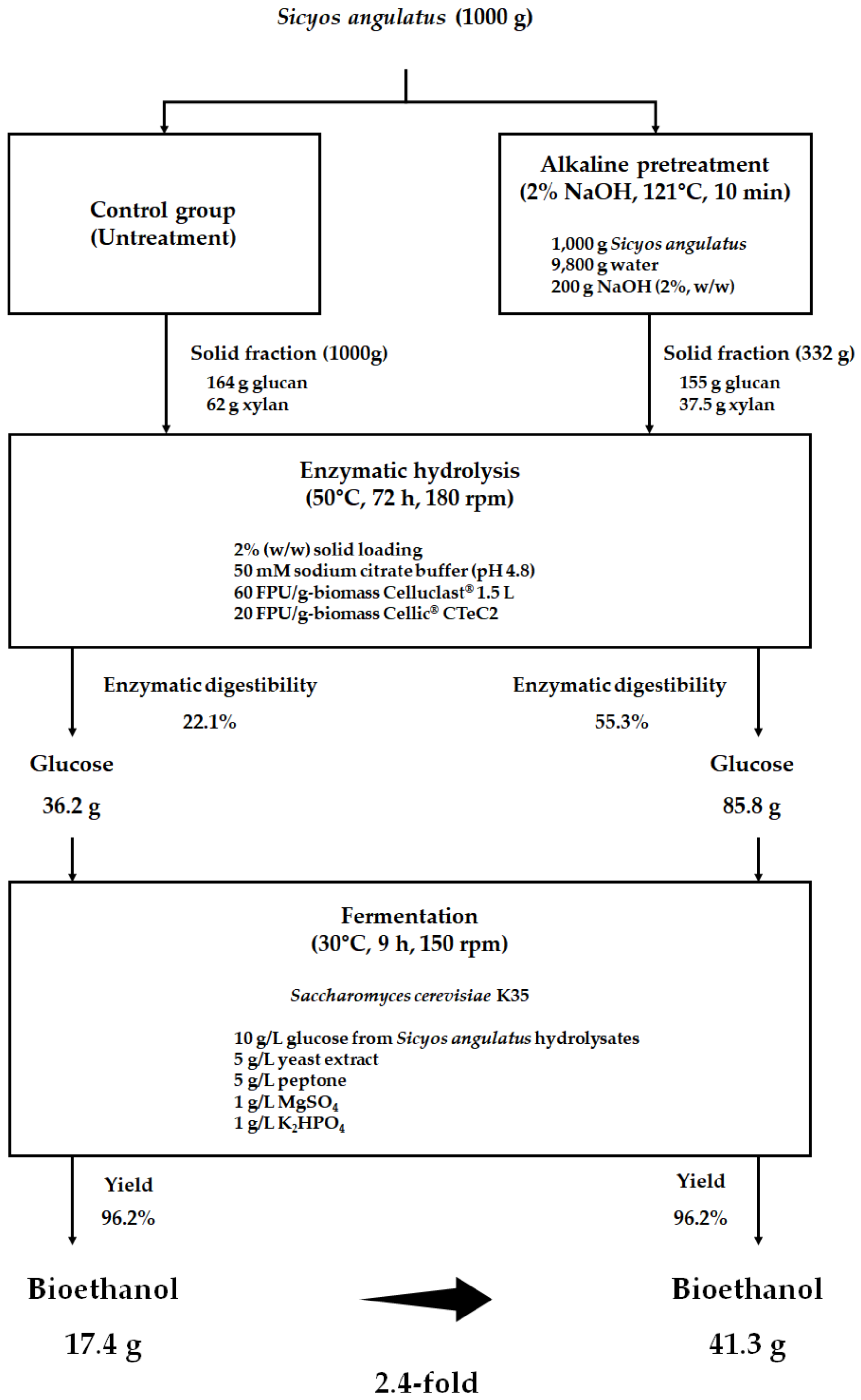 Processes 09 00245 g004