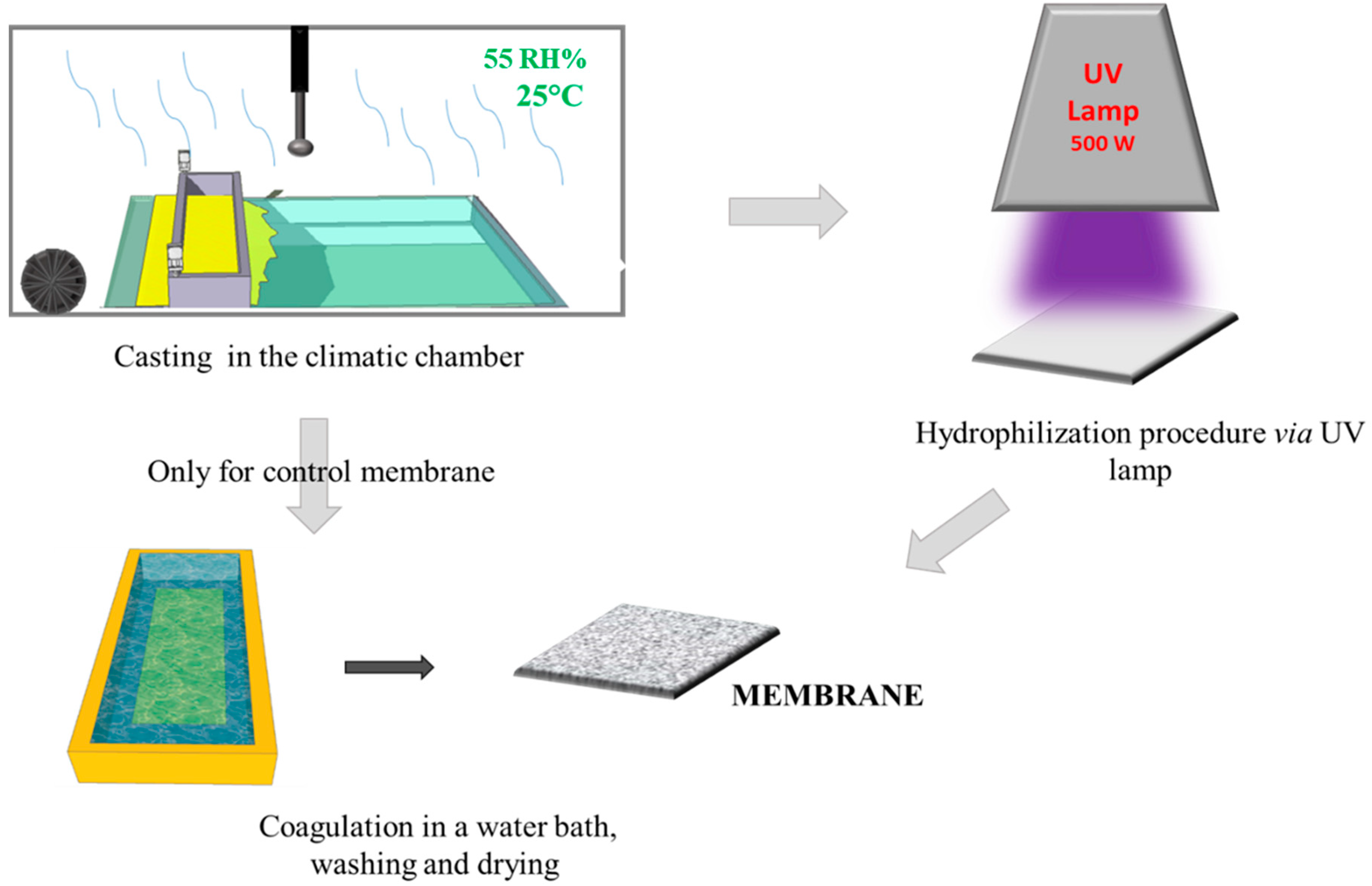 Processes 09 00246 g001