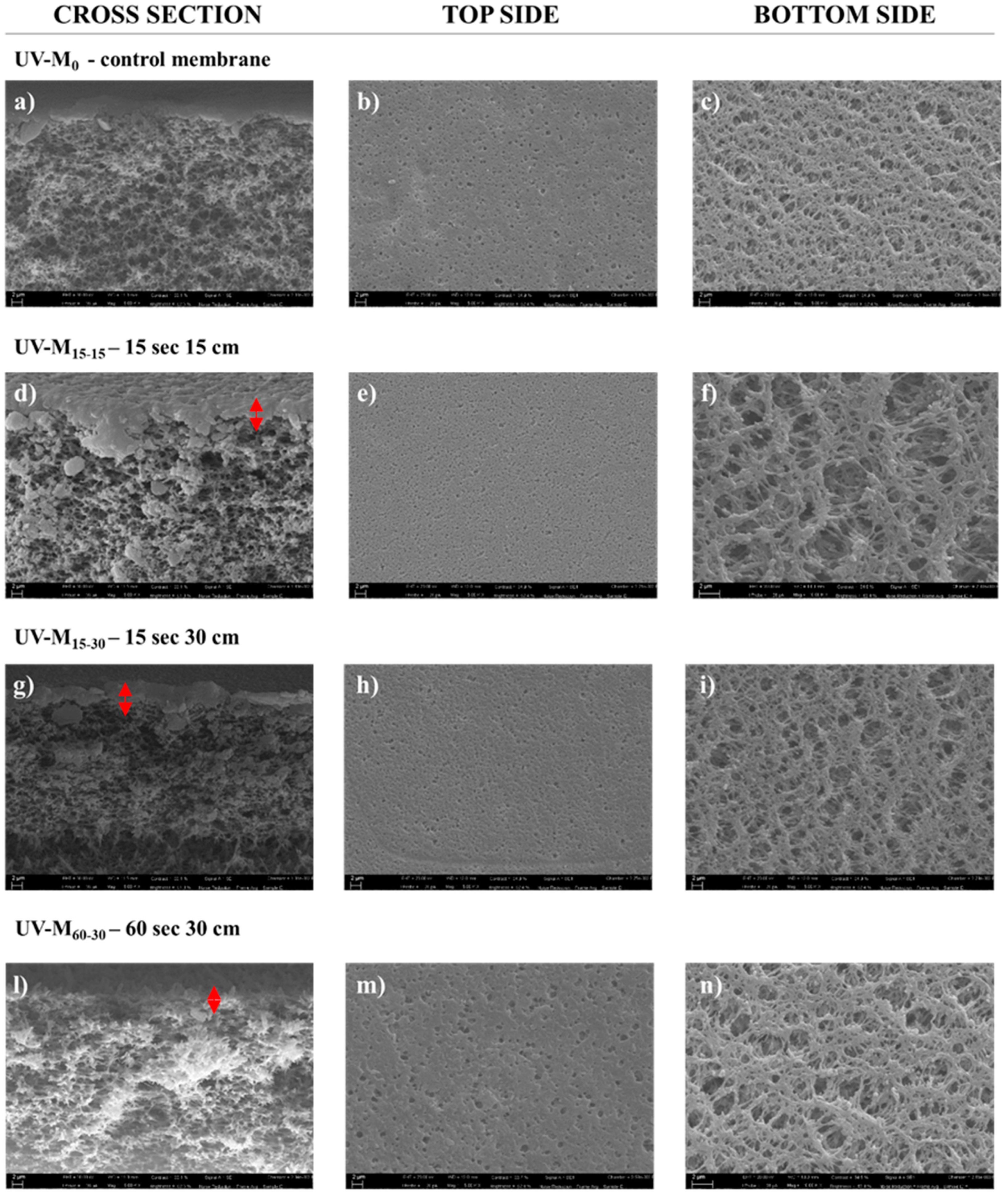 Processes 09 00246 g003