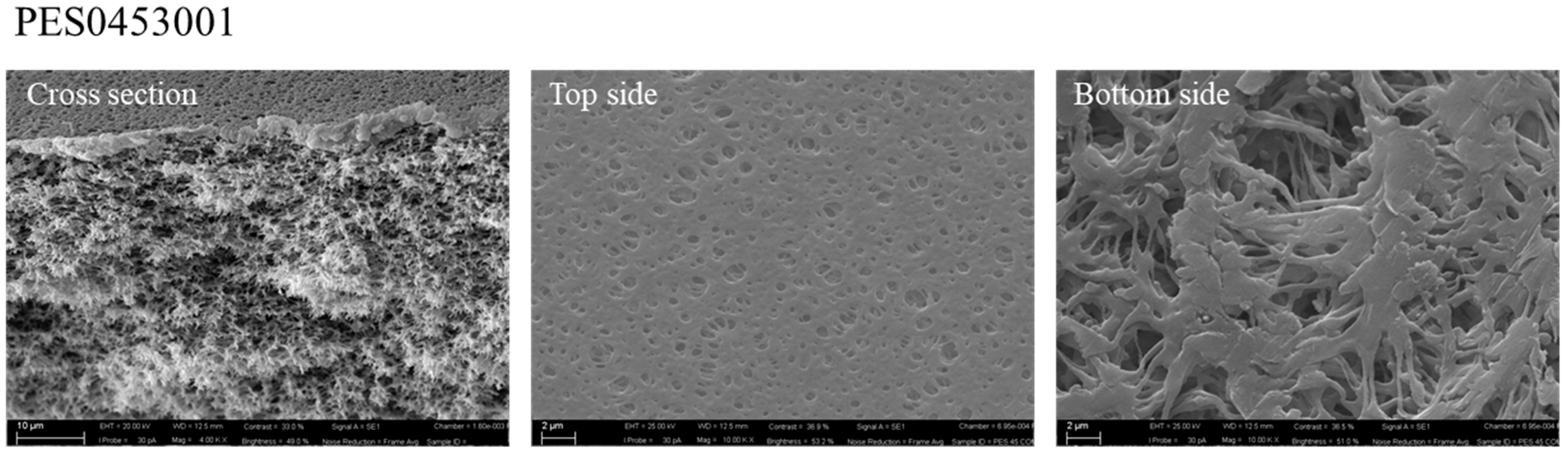 Processes 09 00246 g006