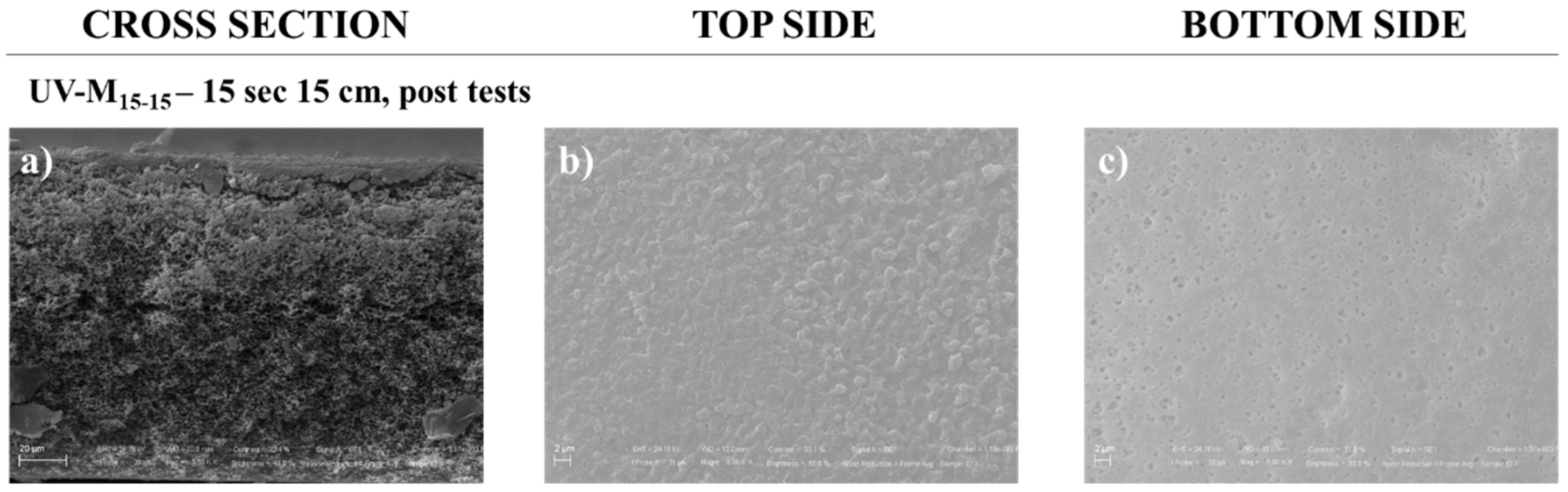 Processes 09 00246 g007